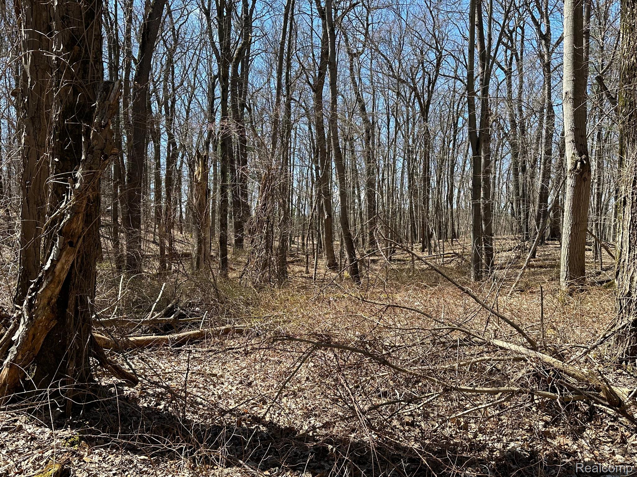 11.01 Acres Vacant Land Knights Bridge Rd Property Photo 15
