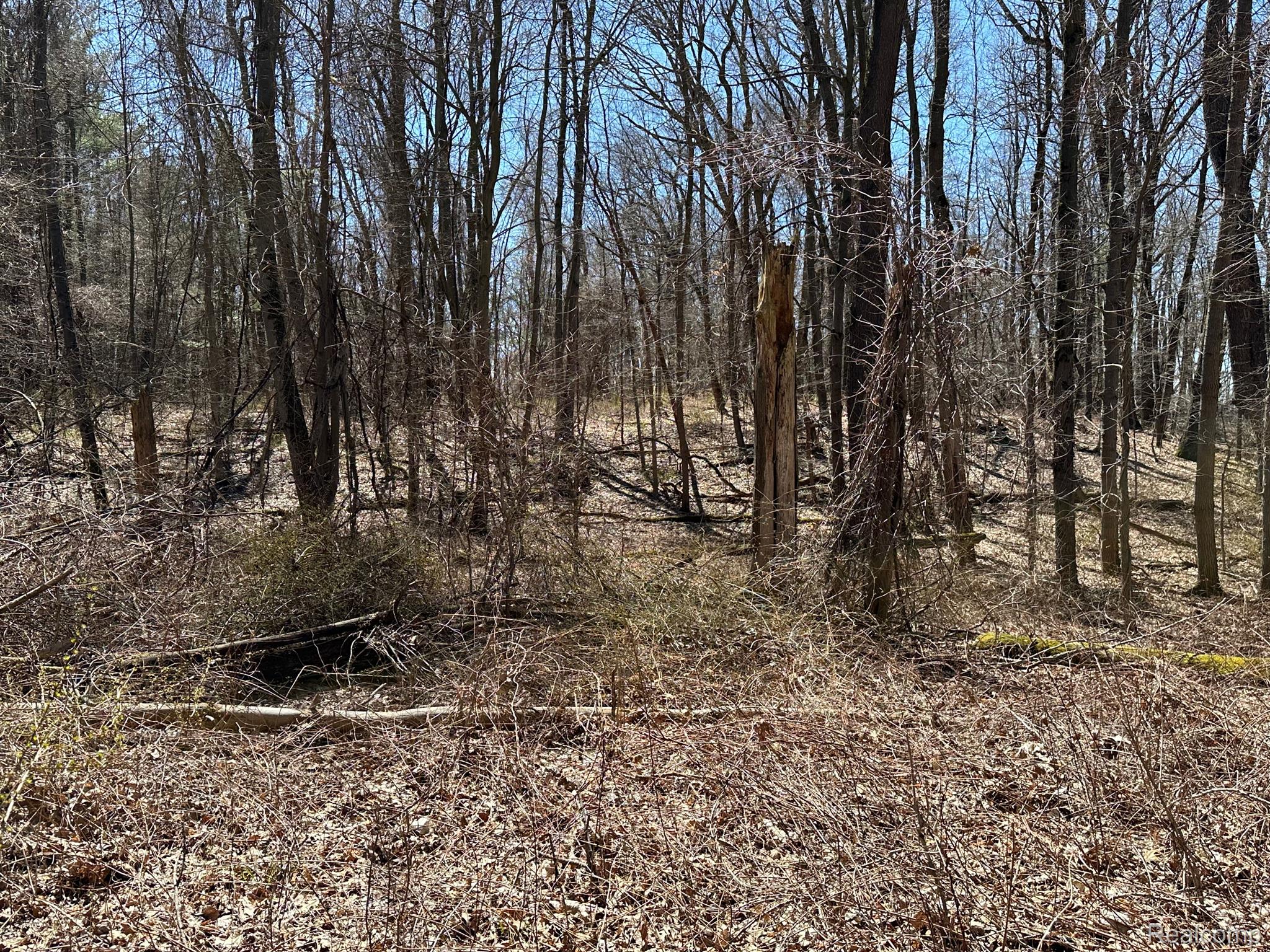 11.01 Acres Vacant Land Knights Bridge Rd Property Photo 16