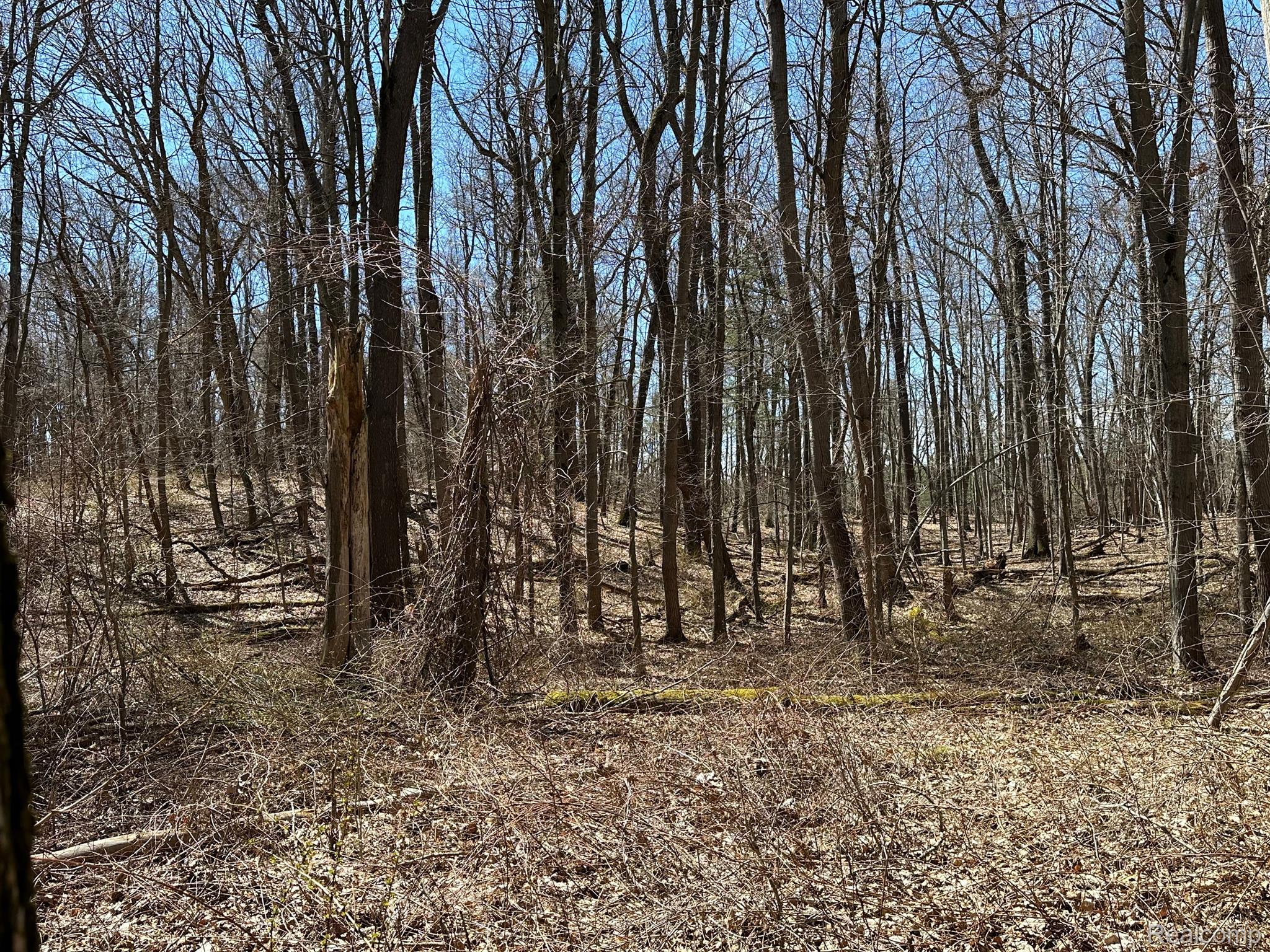 11.01 Acres Vacant Land Knights Bridge Rd Property Photo 17
