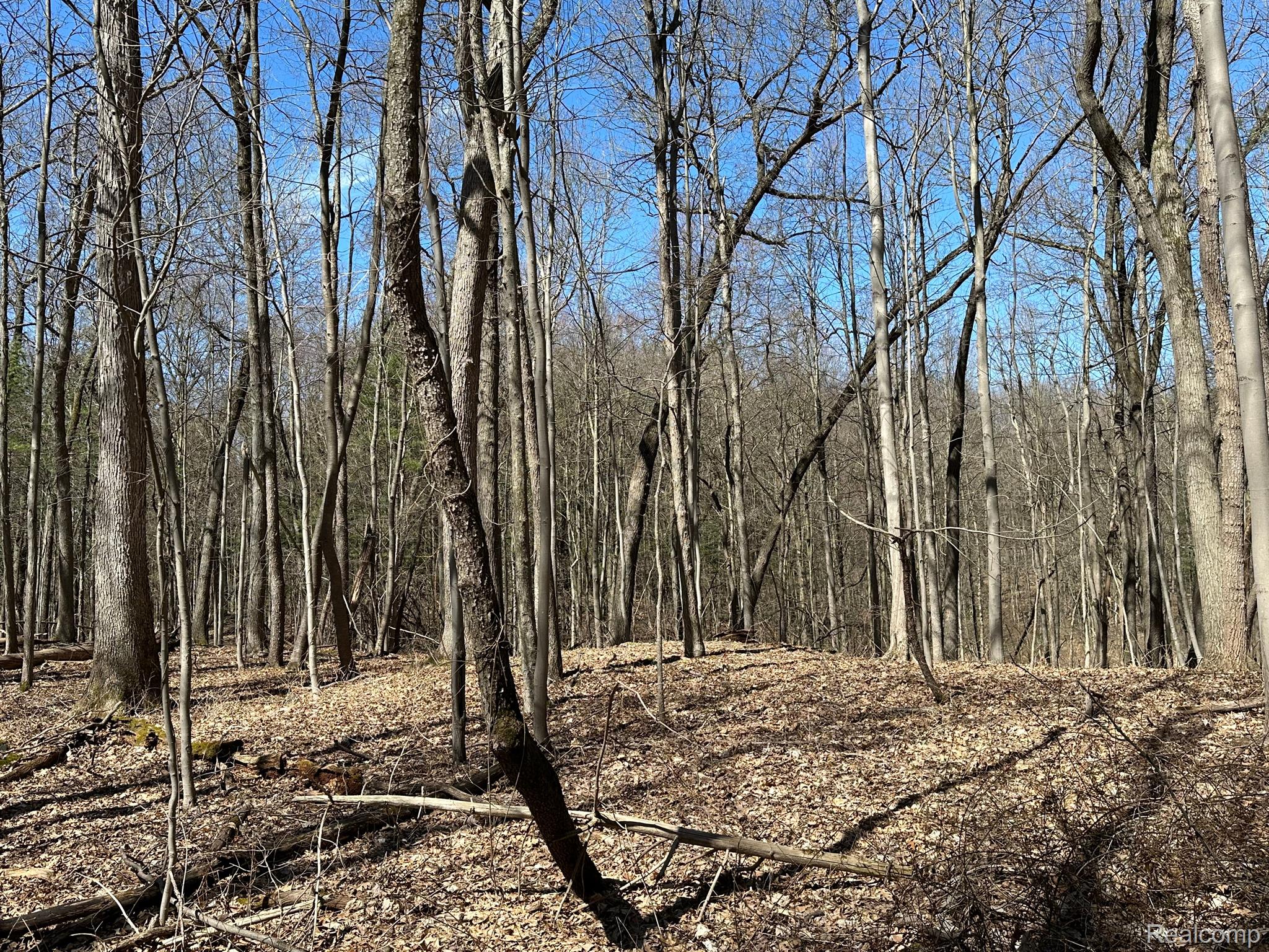 11.01 Acres Vacant Land Knights Bridge Rd Property Photo 18