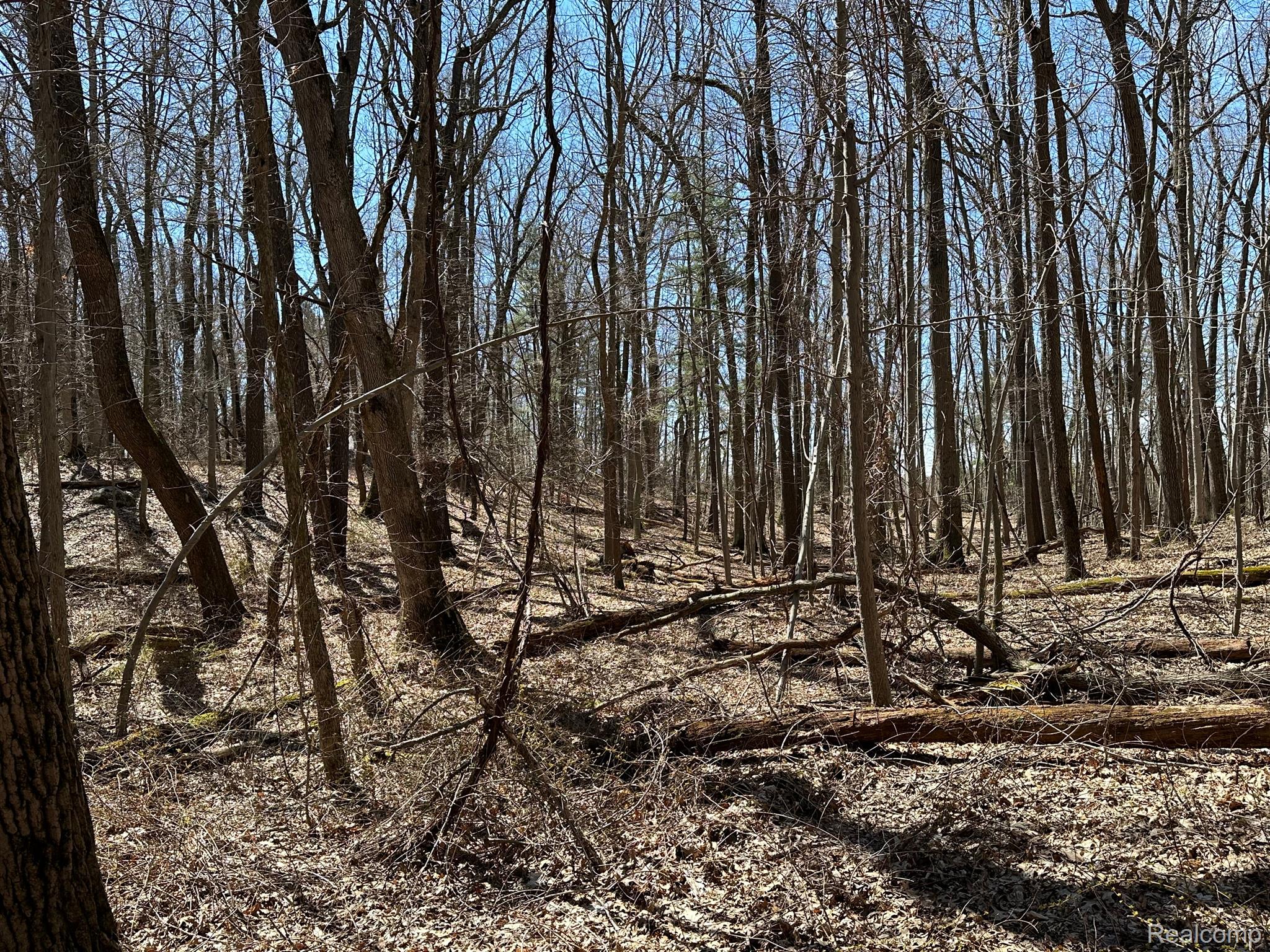 11.01 Acres Vacant Land Knights Bridge Rd Property Photo 19