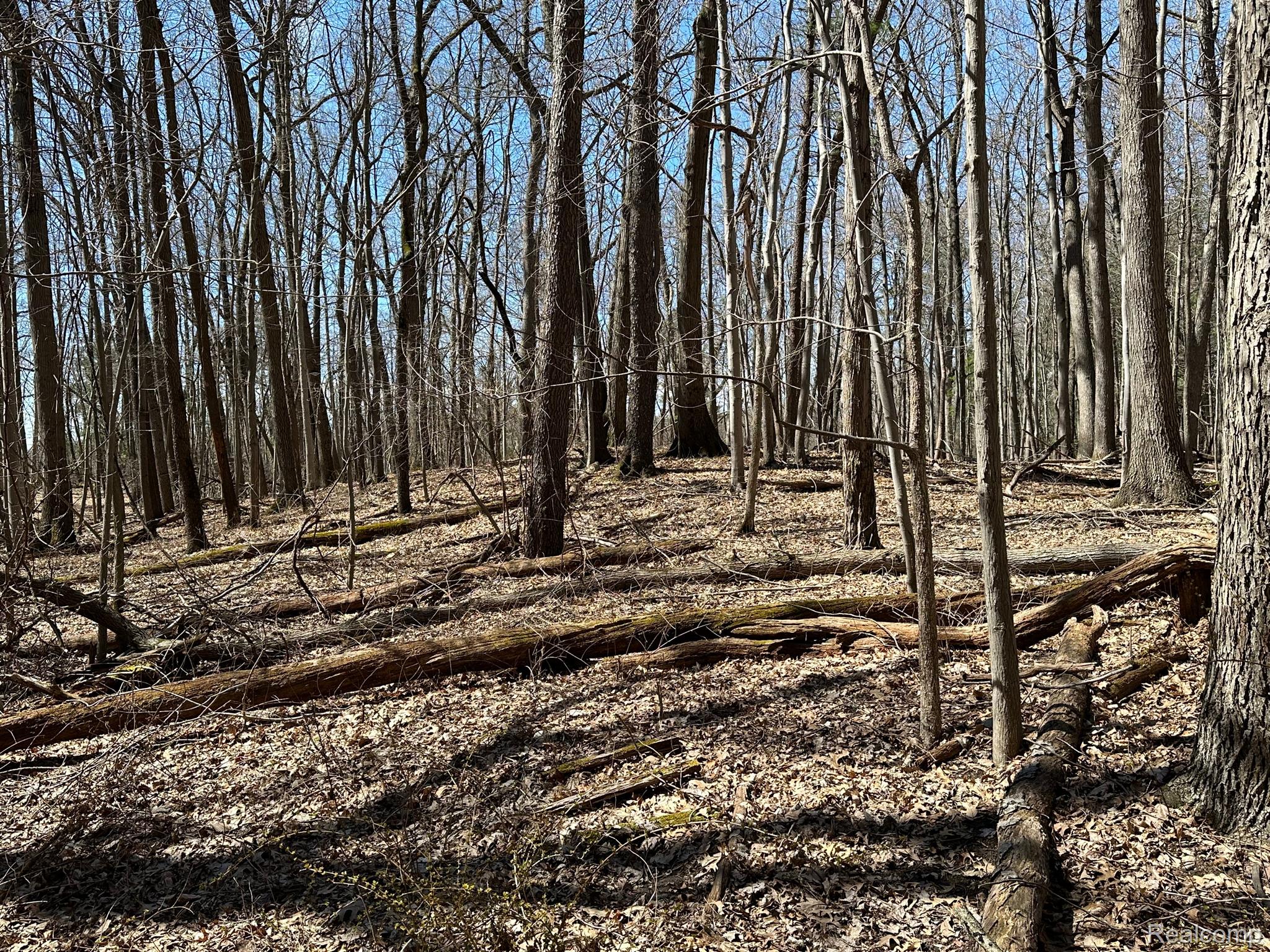 11.01 Acres Vacant Land Knights Bridge Rd Property Photo 20