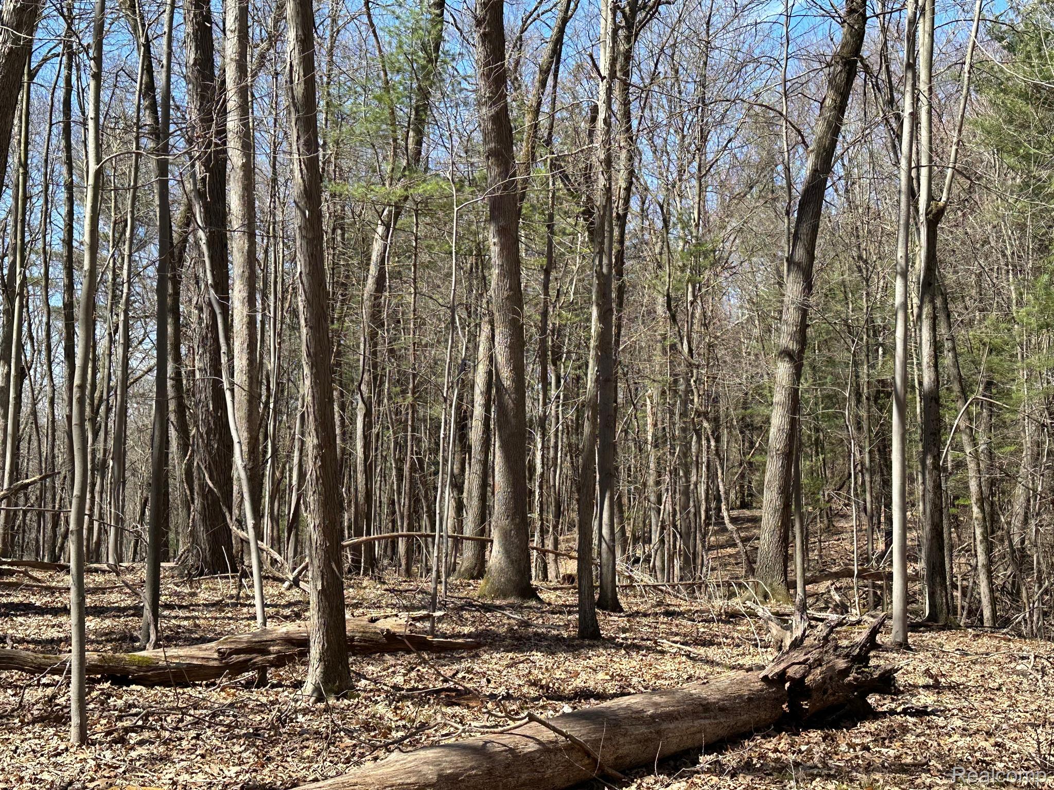 11.01 Acres Vacant Land Knights Bridge Rd Property Photo 21