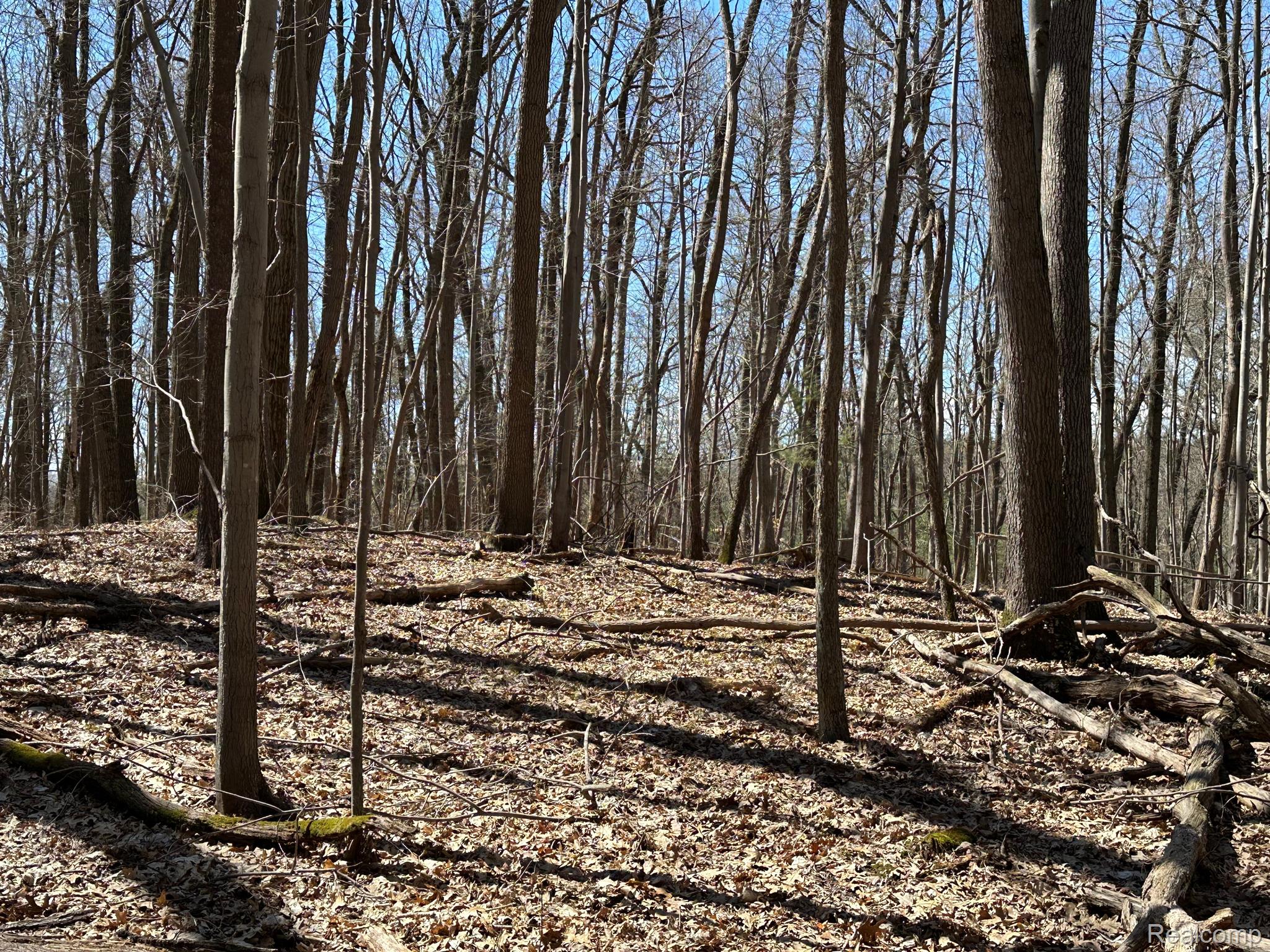 11.01 Acres Vacant Land Knights Bridge Rd Property Photo 22