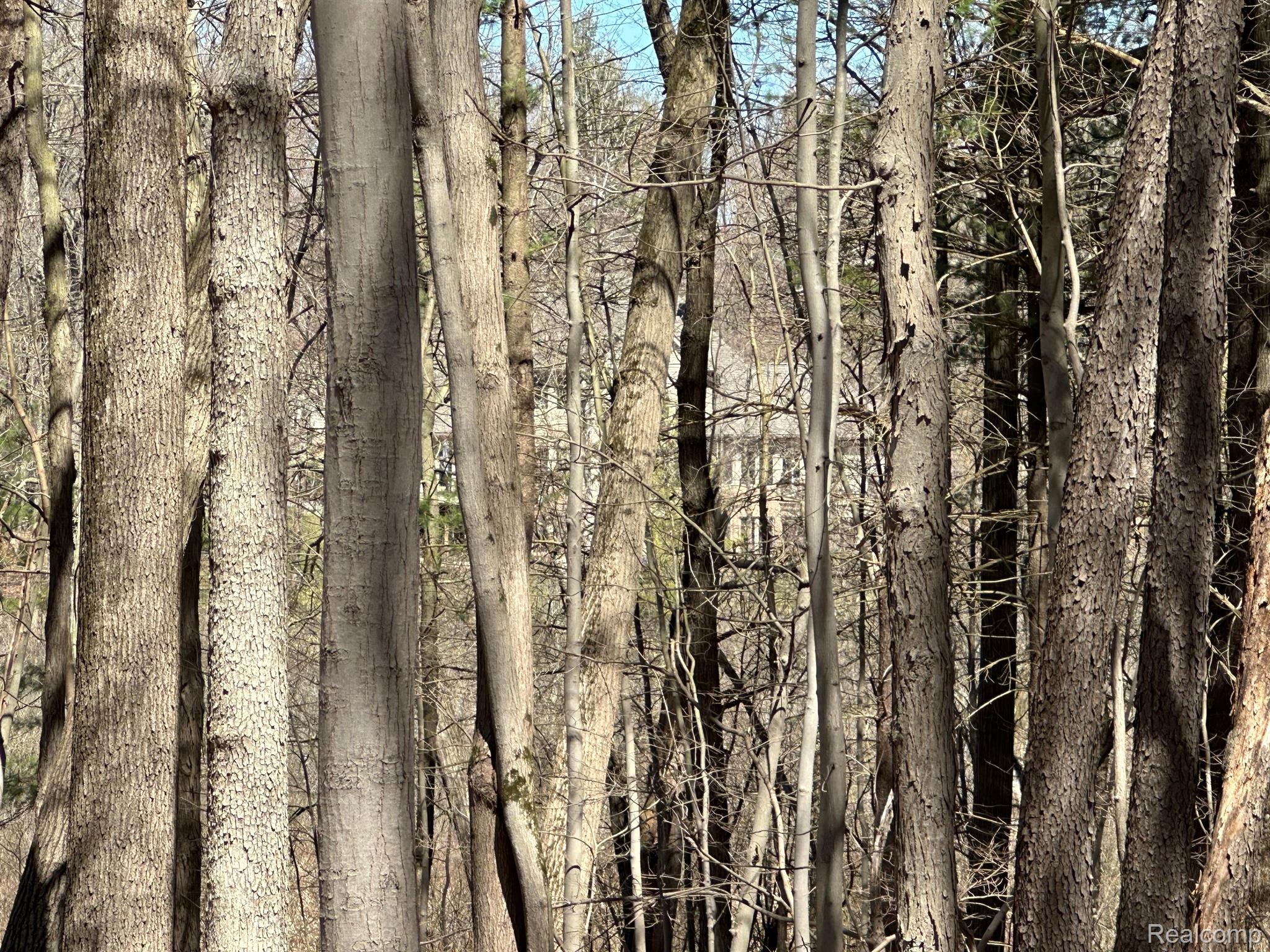 11.01 Acres Vacant Land Knights Bridge Rd Property Photo 23
