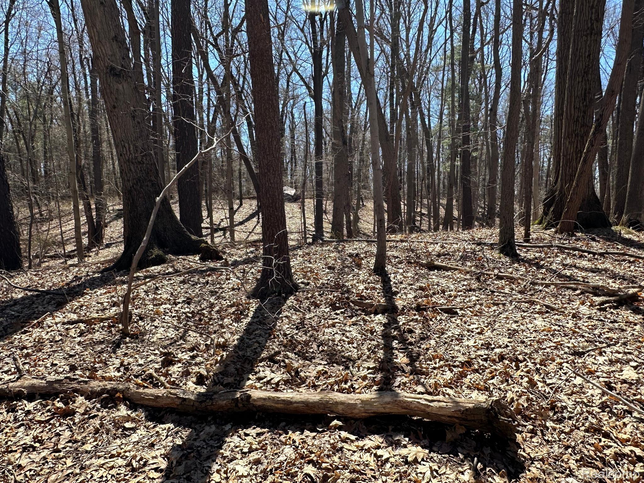 11.01 Acres Vacant Land Knights Bridge Rd Property Photo 25