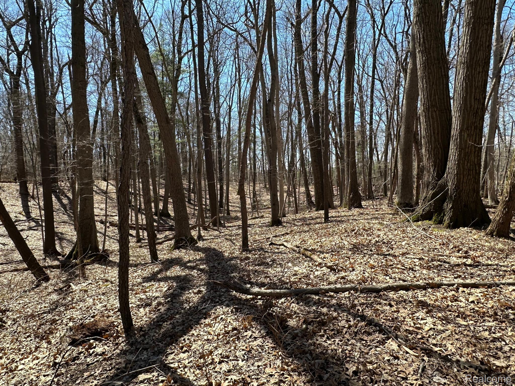 11.01 Acres Vacant Land Knights Bridge Rd Property Photo 26