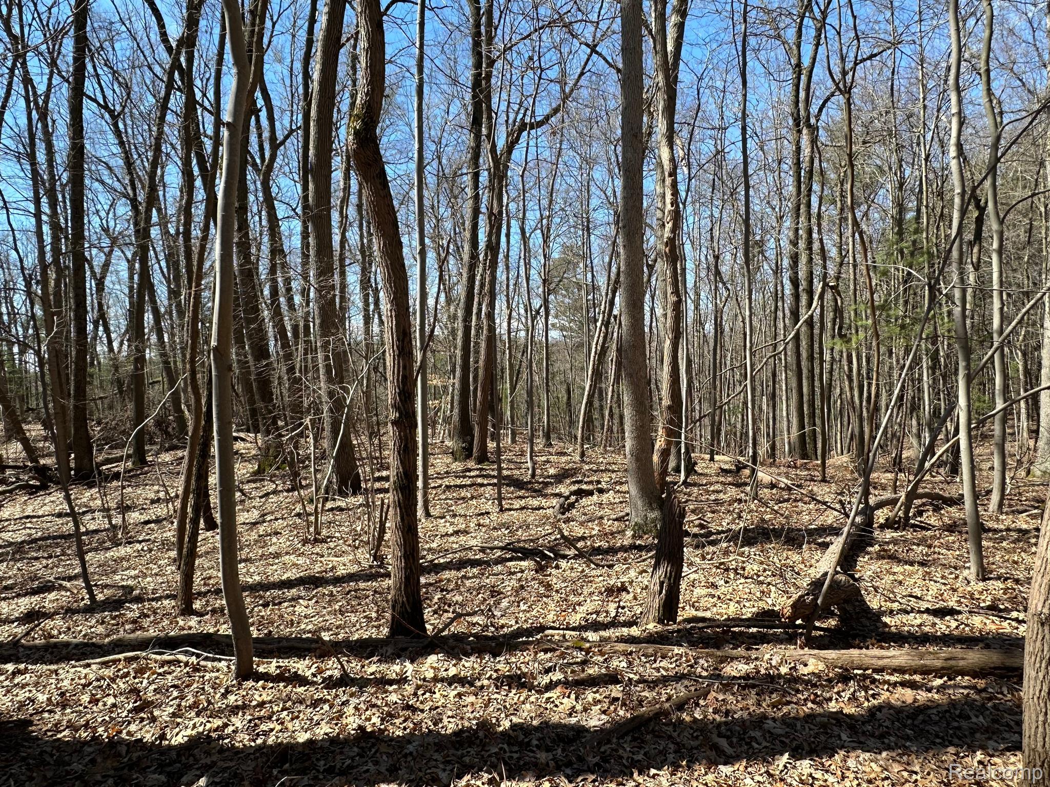 11.01 Acres Vacant Land Knights Bridge Rd Property Photo 27