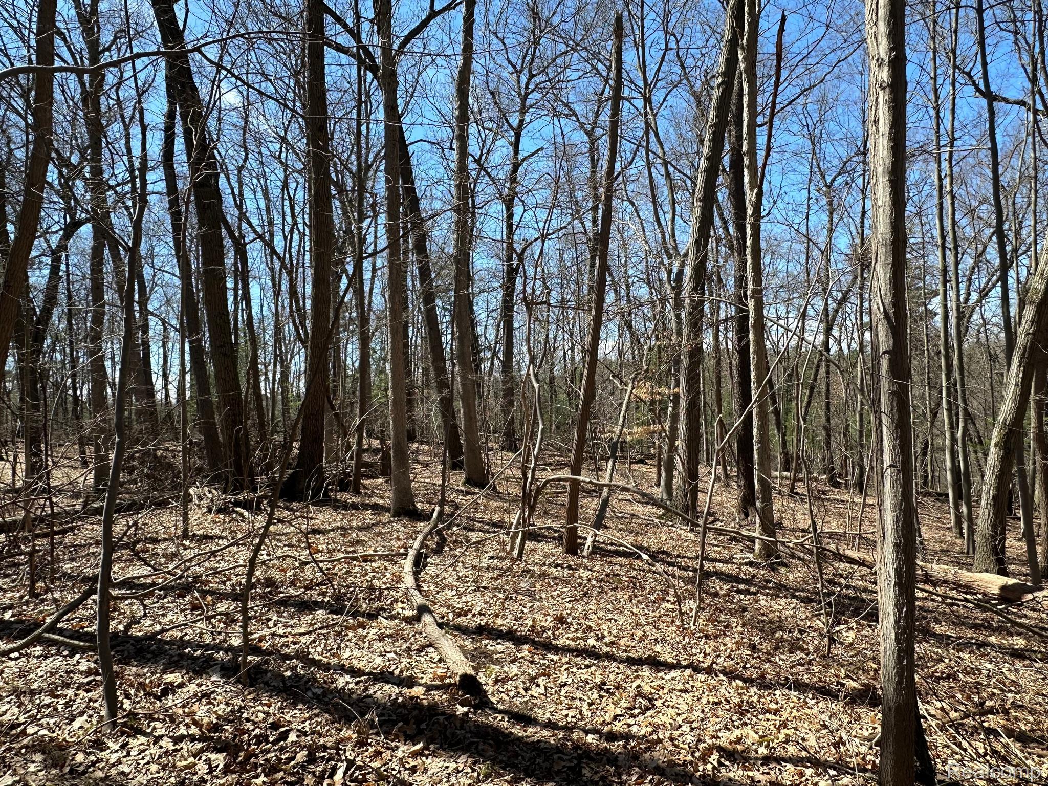 11.01 Acres Vacant Land Knights Bridge Rd Property Photo 28