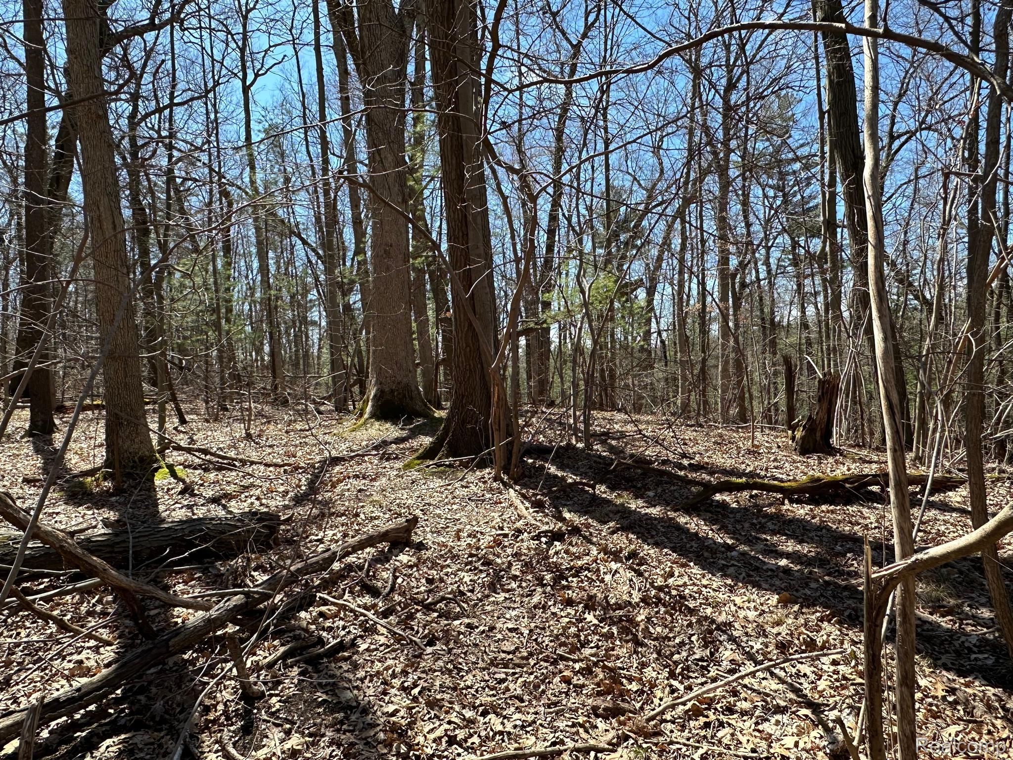 11.01 Acres Vacant Land Knights Bridge Rd Property Photo 29