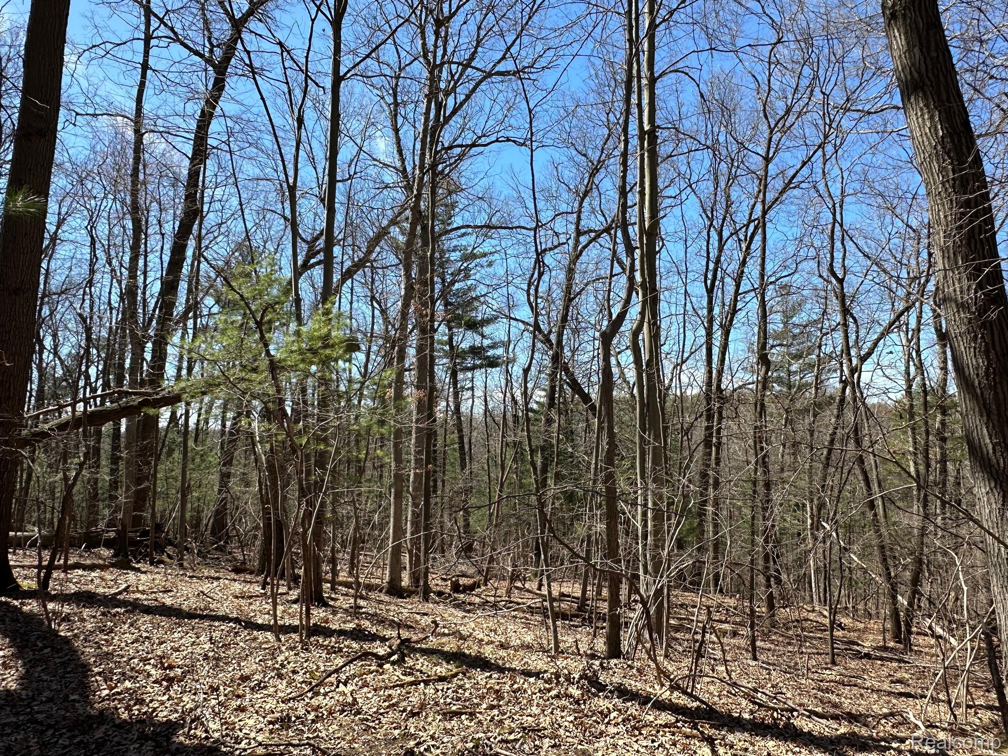 11.01 Acres Vacant Land Knights Bridge Rd Property Photo 30