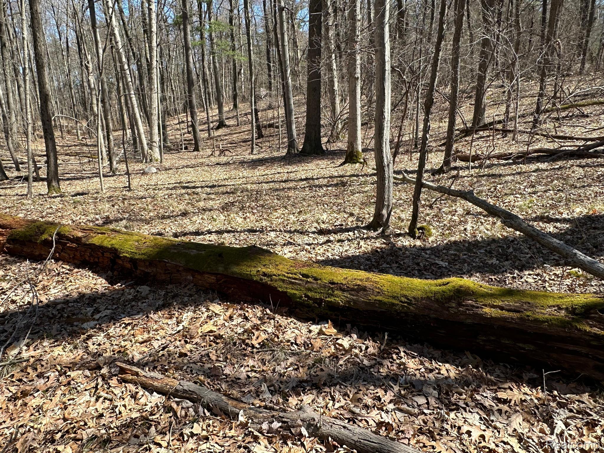 11.01 Acres Vacant Land Knights Bridge Rd Property Photo 31
