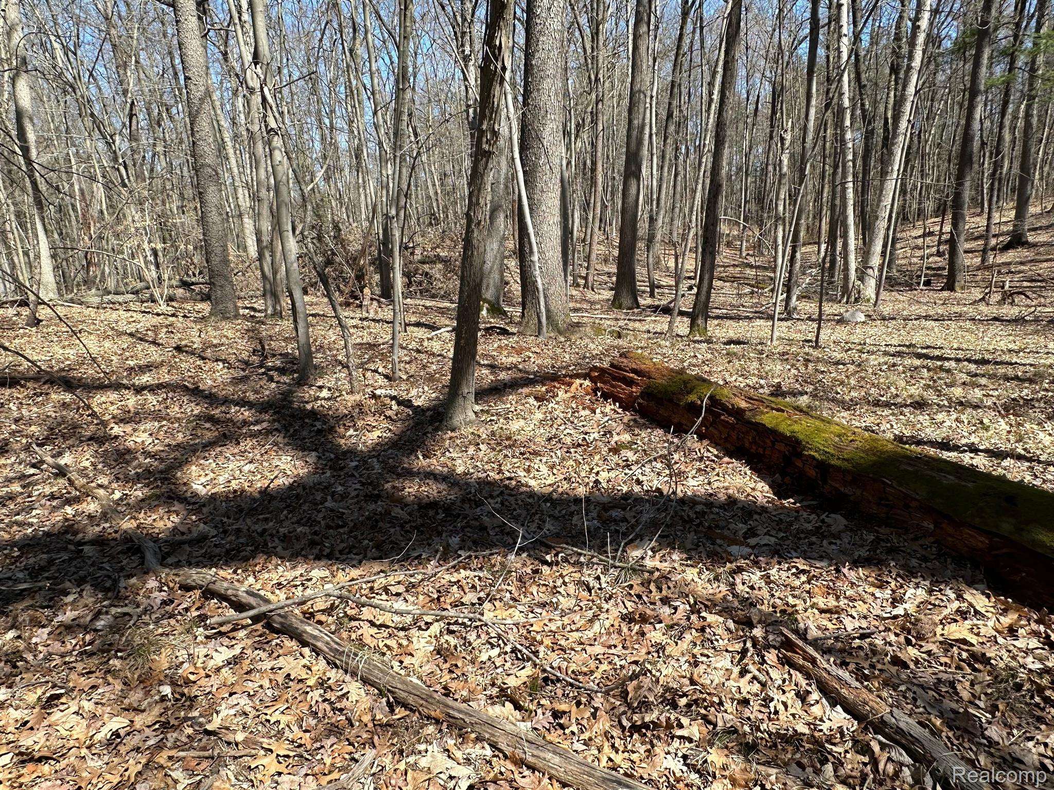 11.01 Acres Vacant Land Knights Bridge Rd Property Photo 32