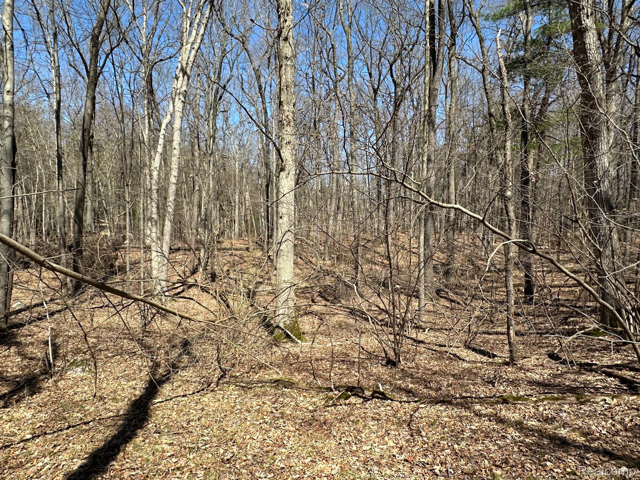 11.01 Acres Vacant Land Knights Bridge Rd Property Photo 33