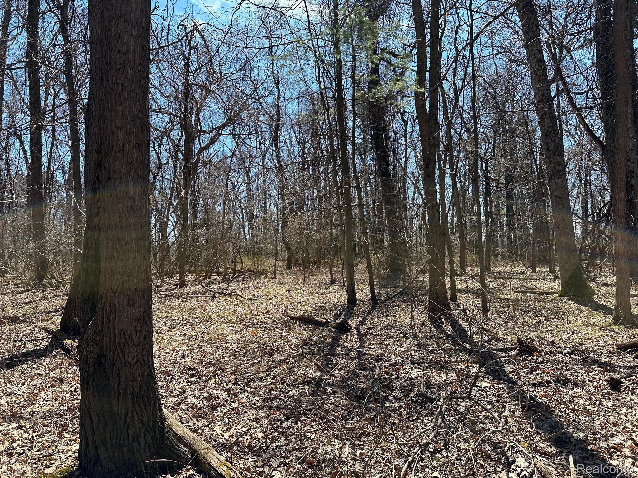 11.01 Acres Vacant Land Knights Bridge Rd Property Photo 34