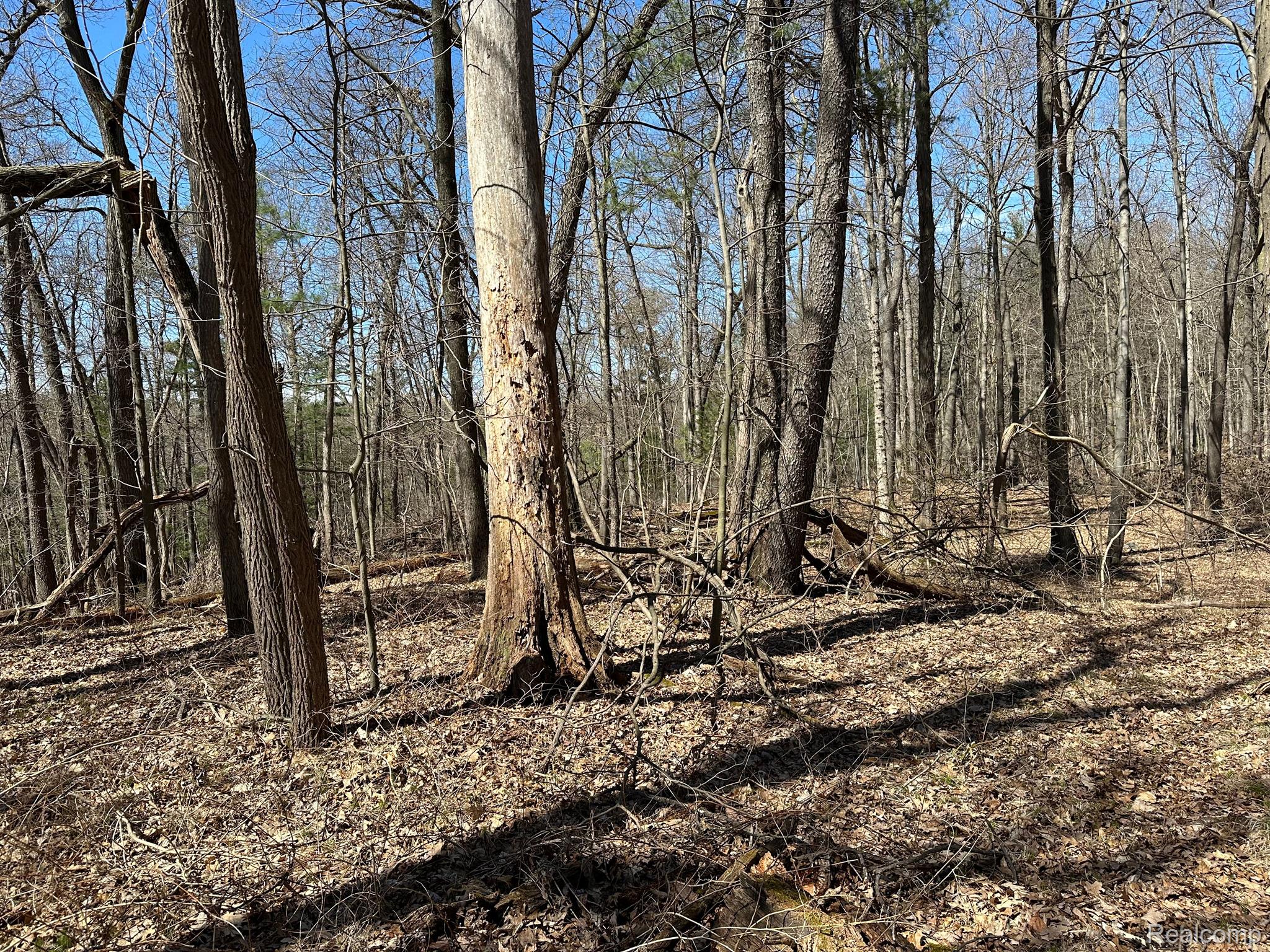 11.01 Acres Vacant Land Knights Bridge Rd Property Photo 35
