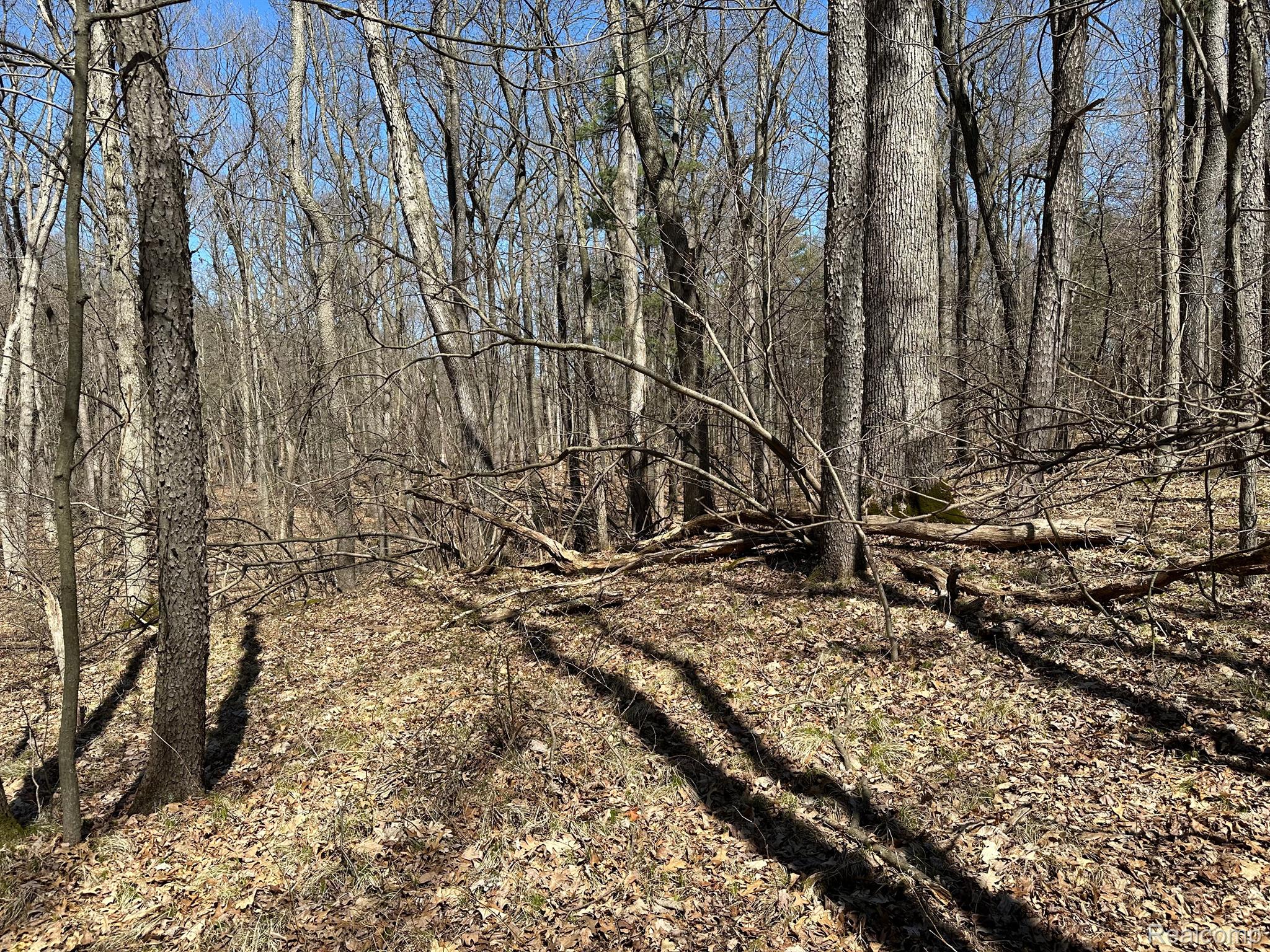 11.01 Acres Vacant Land Knights Bridge Rd Property Photo 36