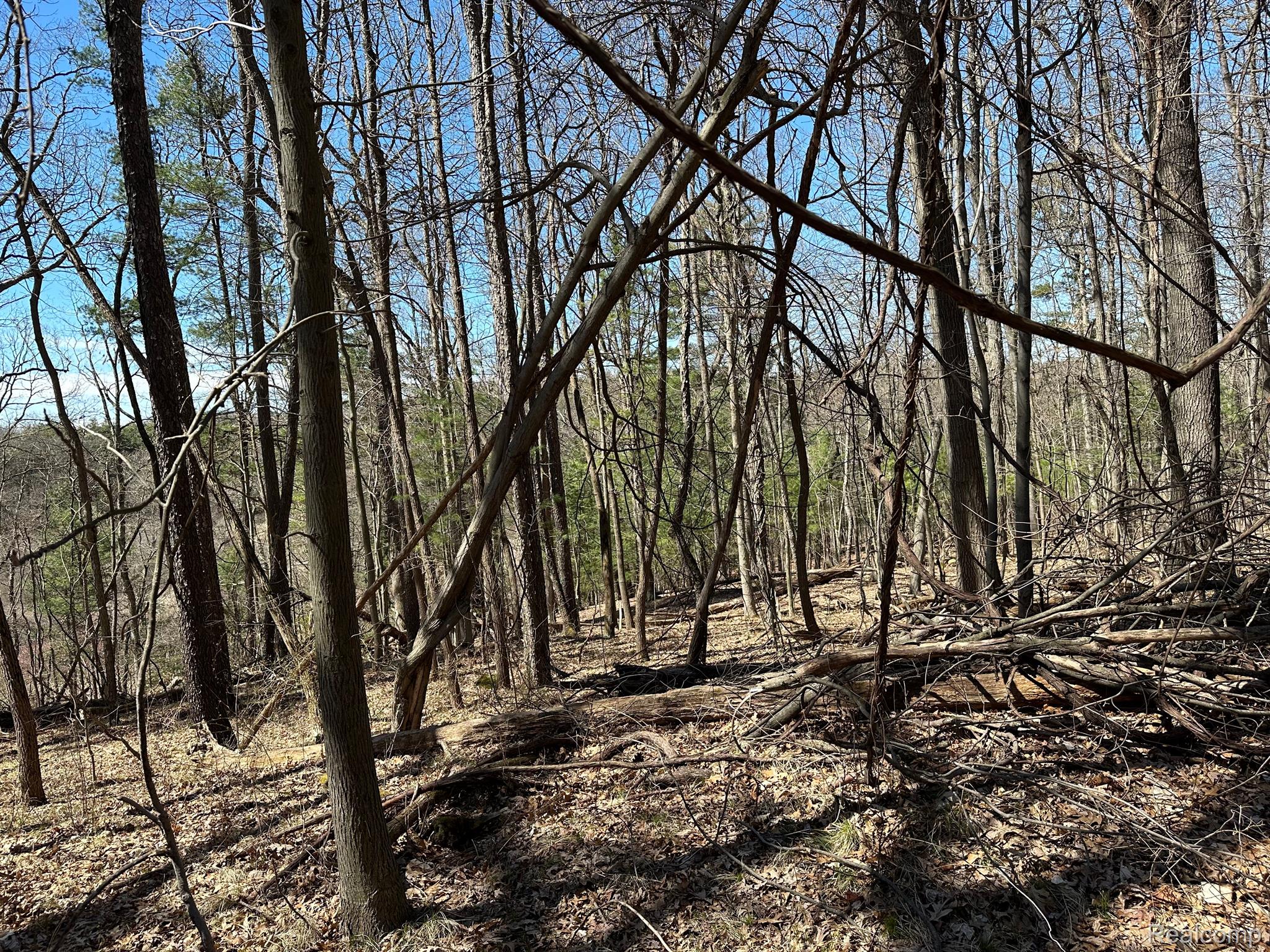 11.01 Acres Vacant Land Knights Bridge Rd Property Photo 37