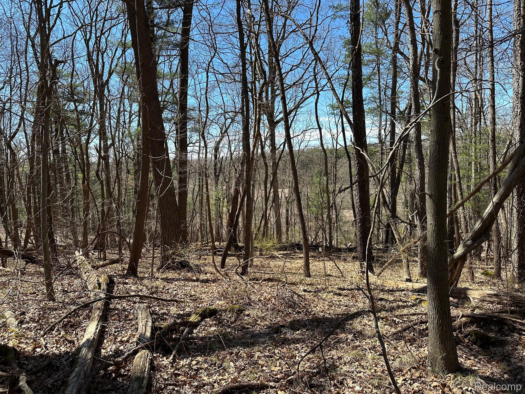 11.01 Acres Vacant Land Knights Bridge Rd Property Photo 38