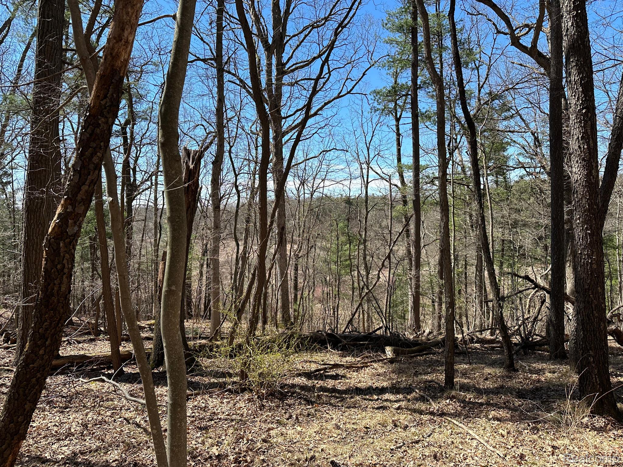 11.01 Acres Vacant Land Knights Bridge Rd Property Photo 39