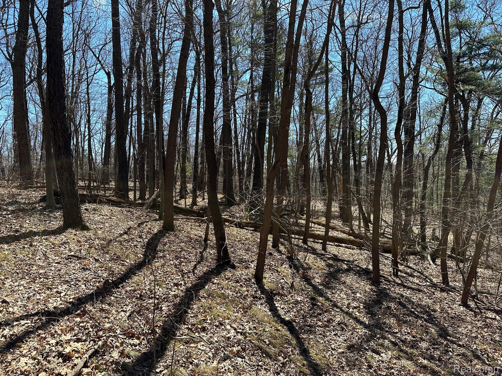 11.01 Acres Vacant Land Knights Bridge Rd Property Photo 40