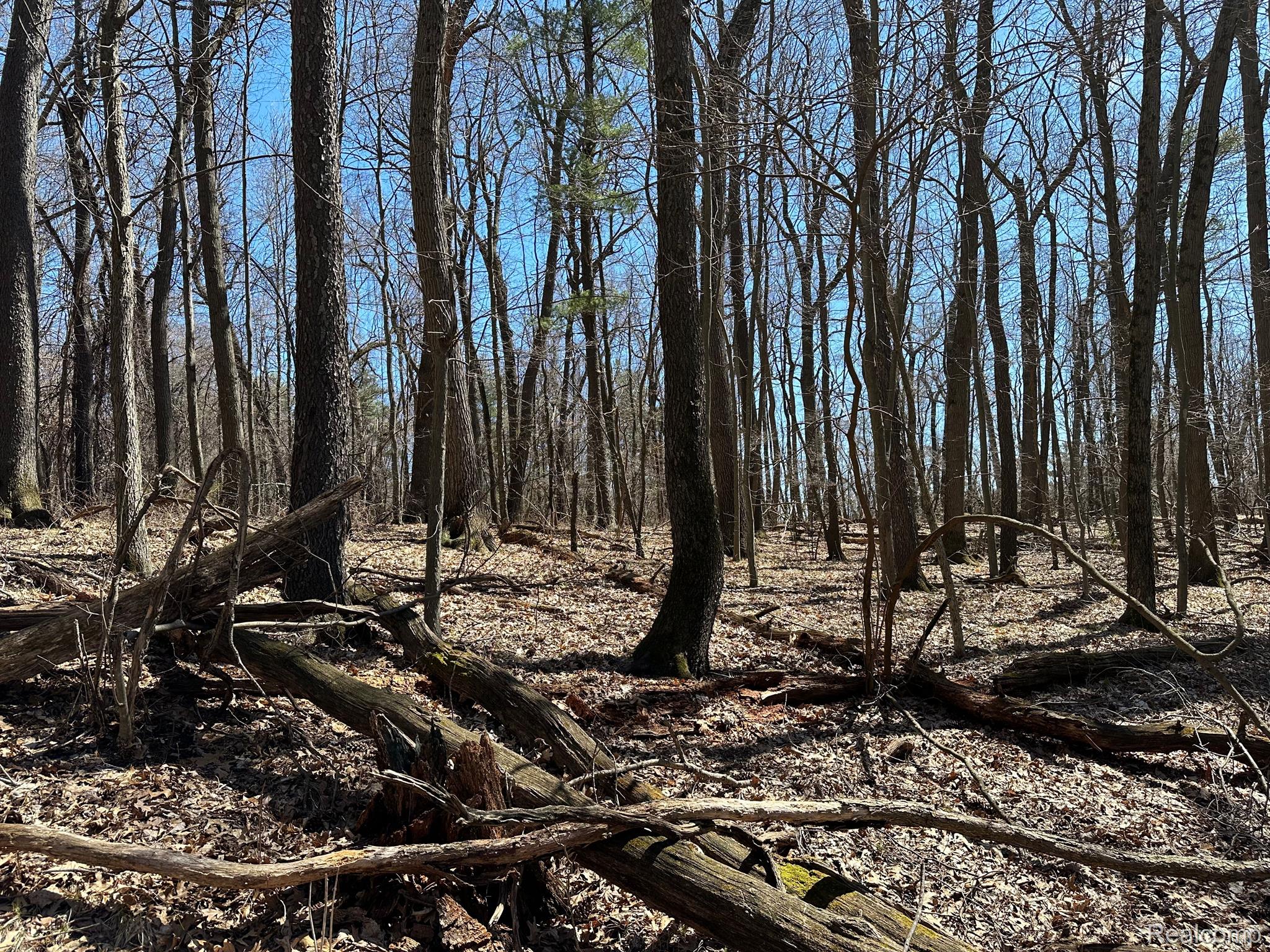 11.01 Acres Vacant Land Knights Bridge Rd Property Photo 41