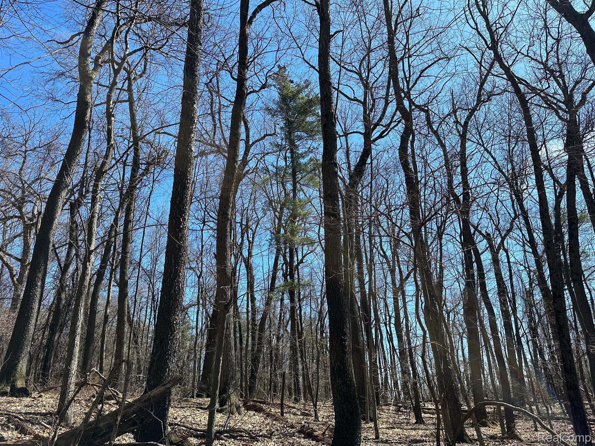 11.01 Acres Vacant Land Knights Bridge Rd Property Photo 42