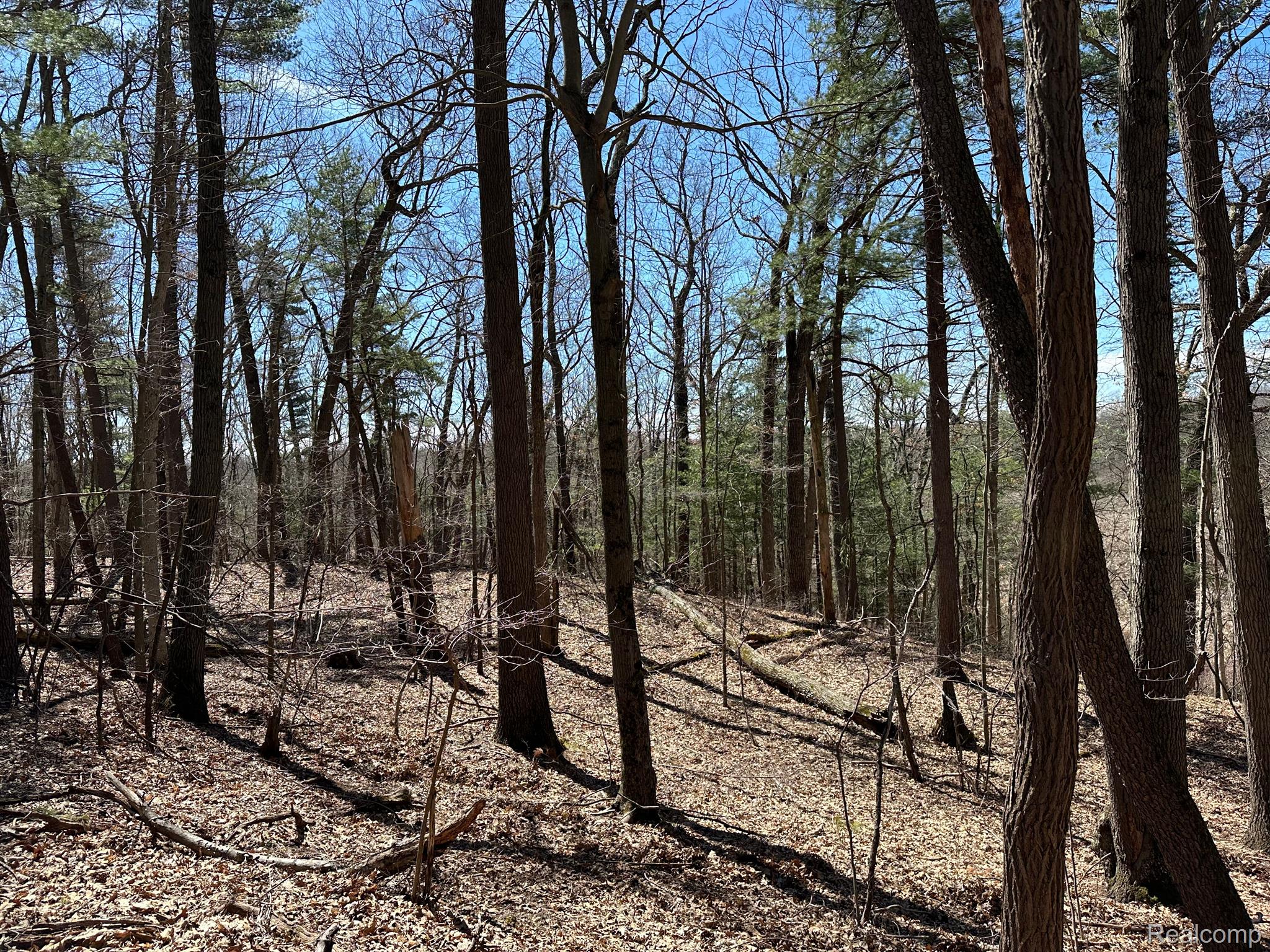 11.01 Acres Vacant Land Knights Bridge Rd Property Photo 43