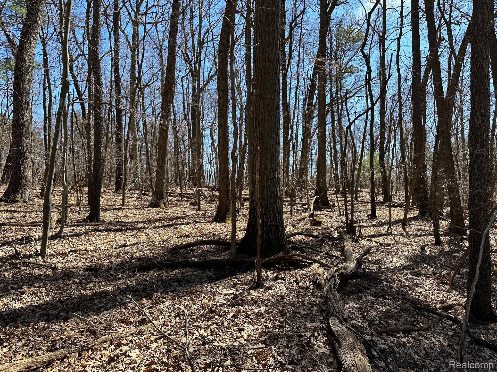 11.01 Acres Vacant Land Knights Bridge Rd Property Photo 45