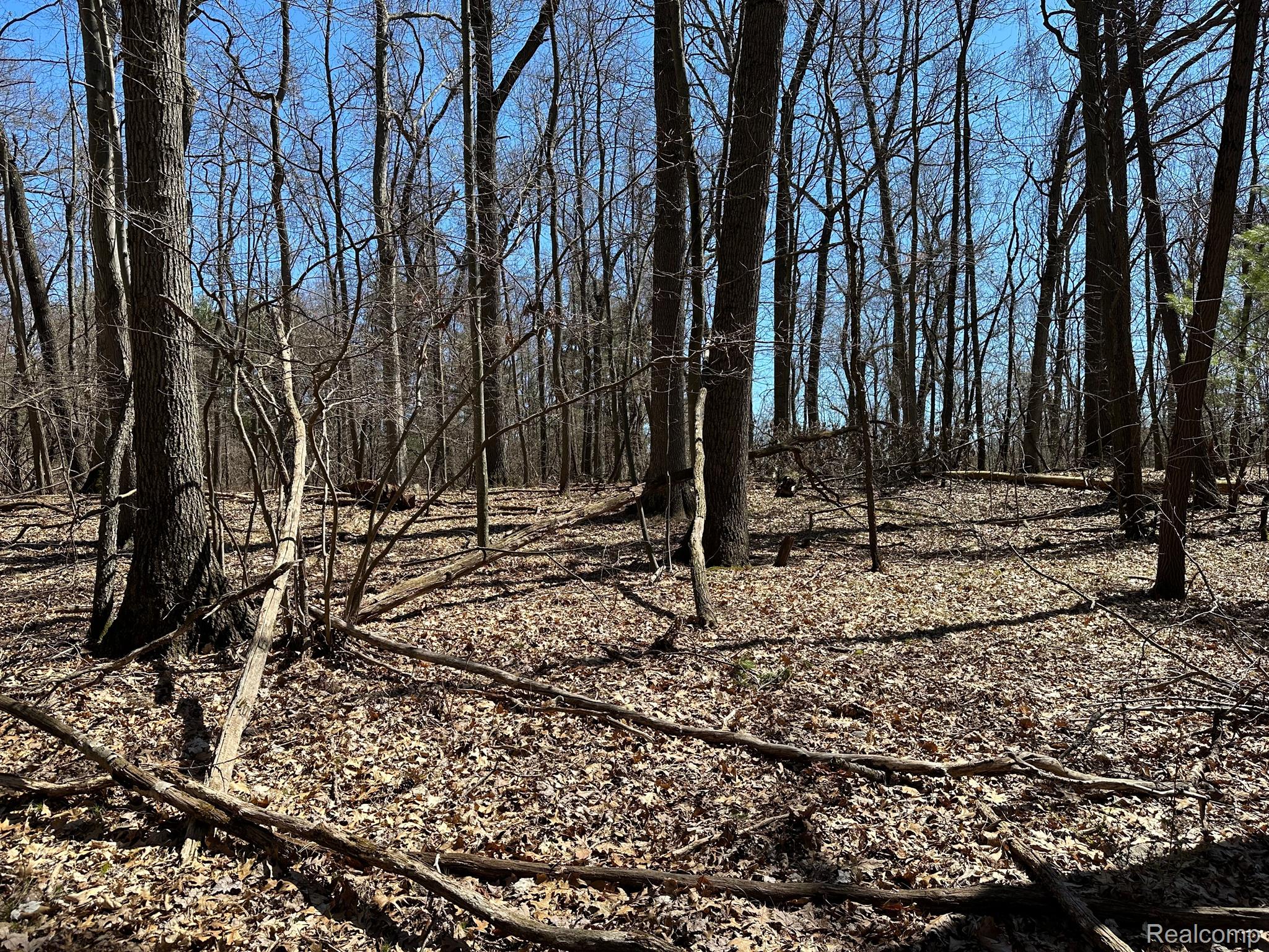11.01 Acres Vacant Land Knights Bridge Rd Property Photo 46