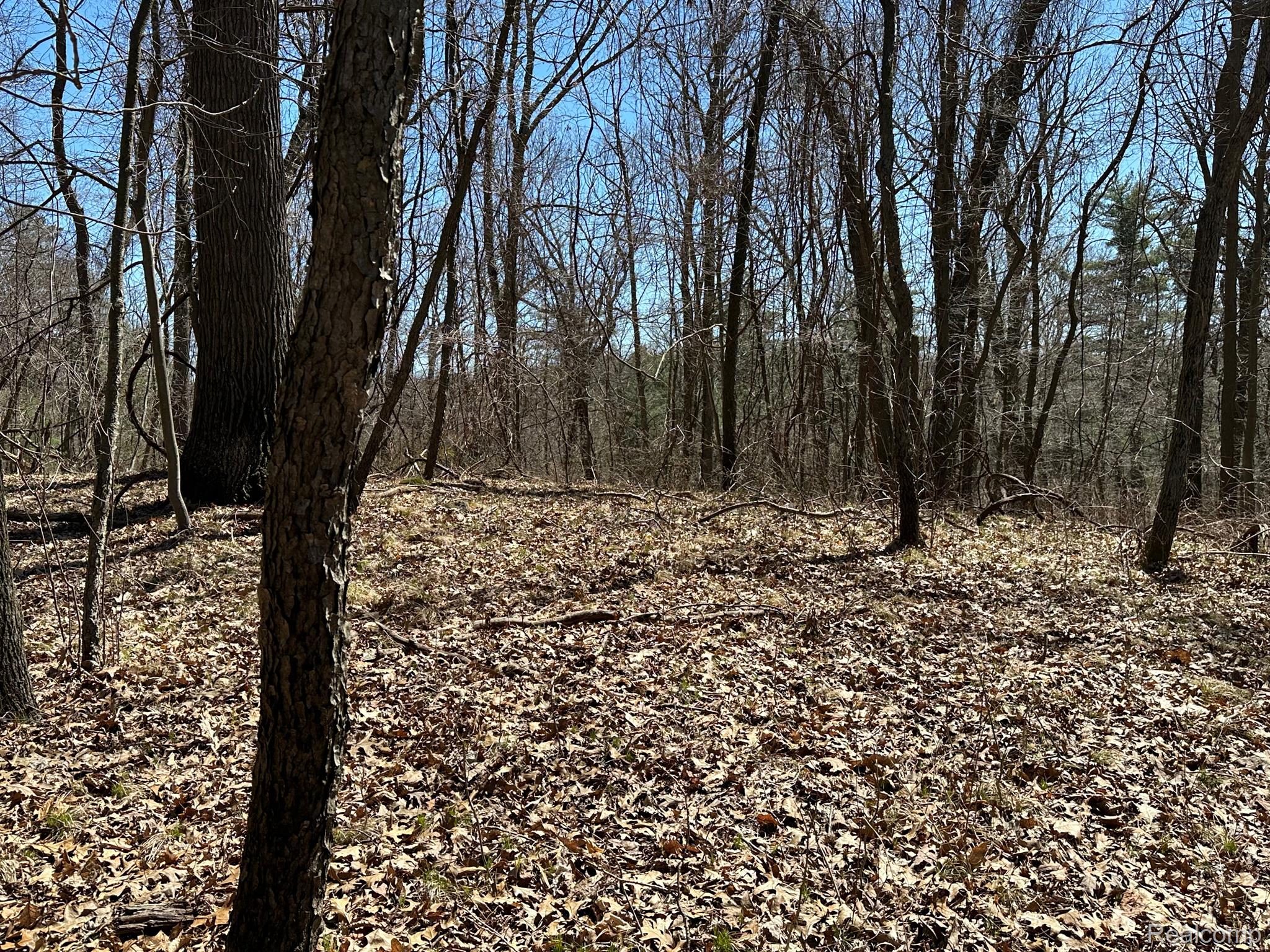 11.01 Acres Vacant Land Knights Bridge Rd Property Photo 47