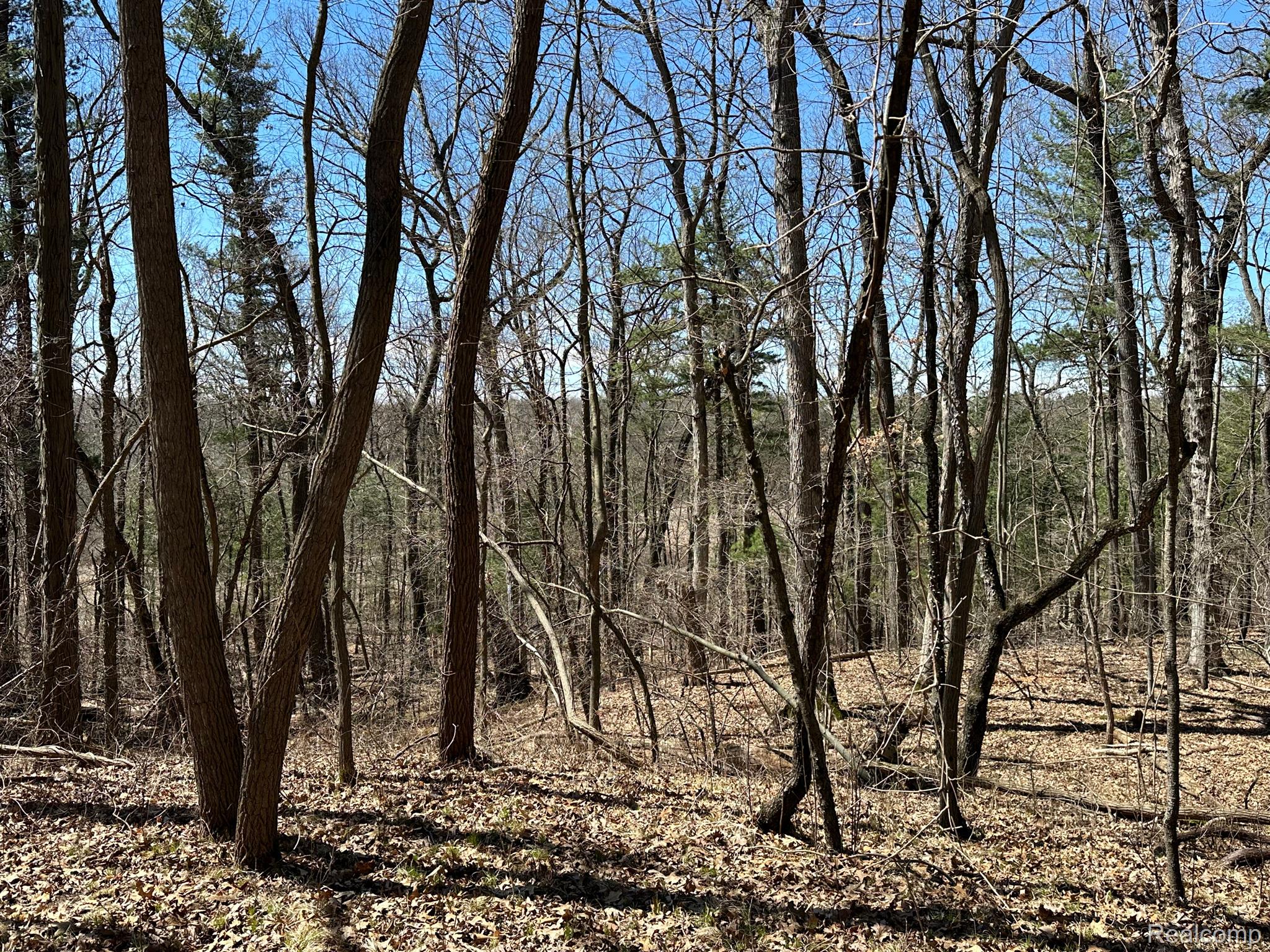 11.01 Acres Vacant Land Knights Bridge Rd Property Photo 48