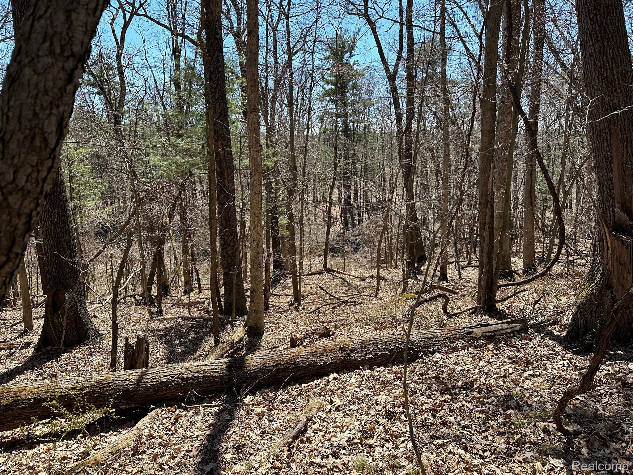 11.01 Acres Vacant Land Knights Bridge Rd Property Photo 49