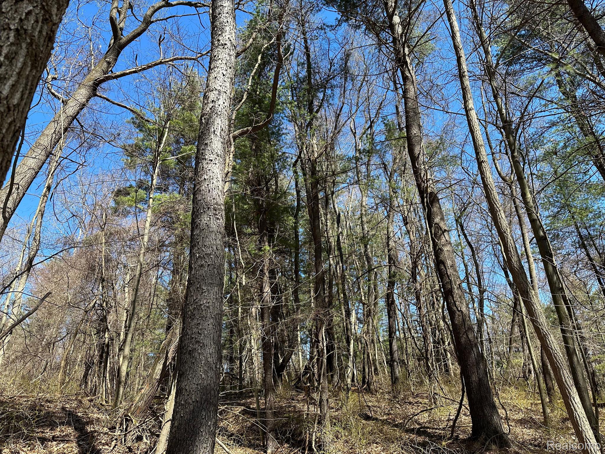11.01 Acres Vacant Land Knights Bridge Rd Property Photo 50