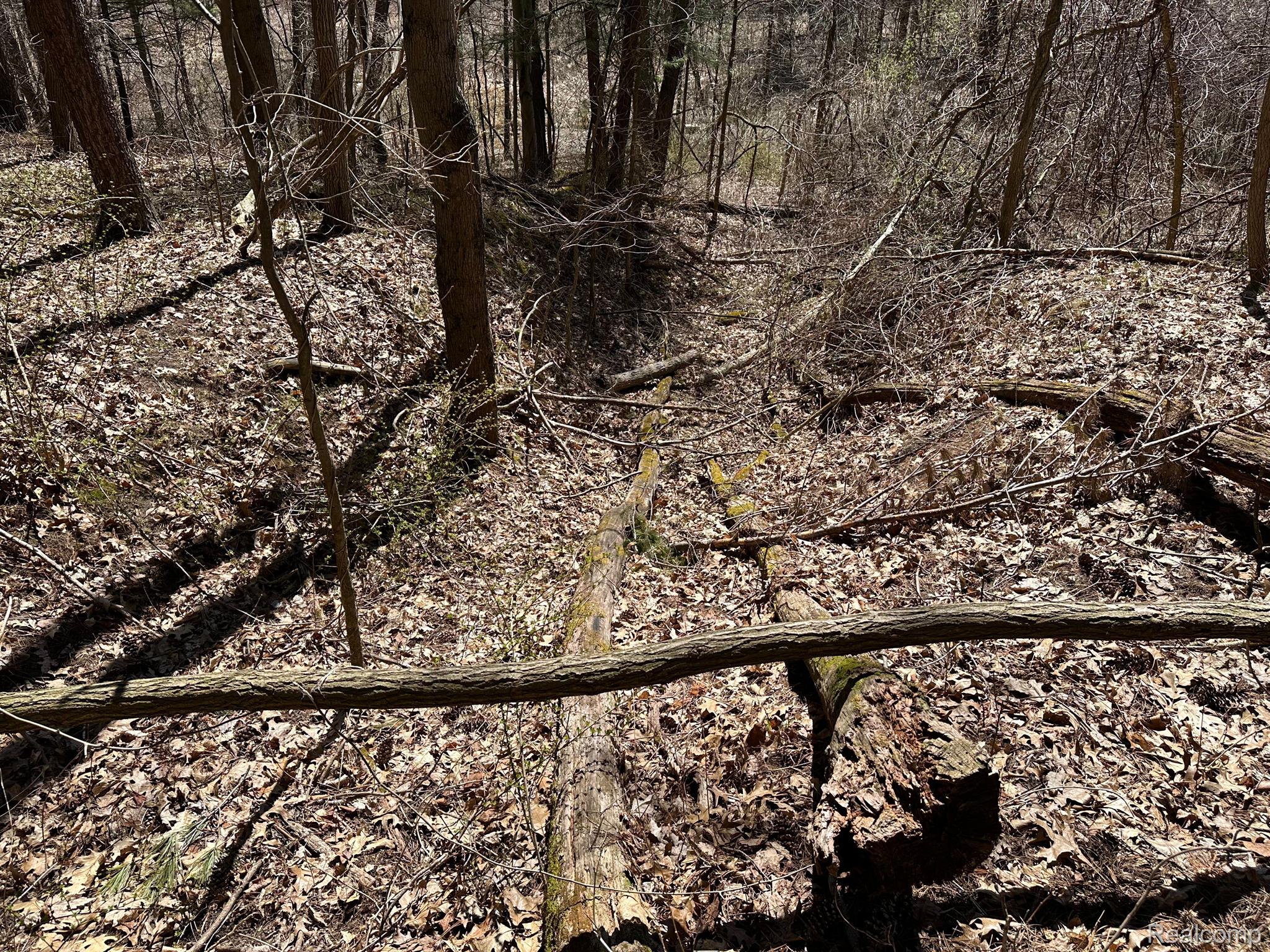 11.01 Acres Vacant Land Knights Bridge Rd Property Photo 51