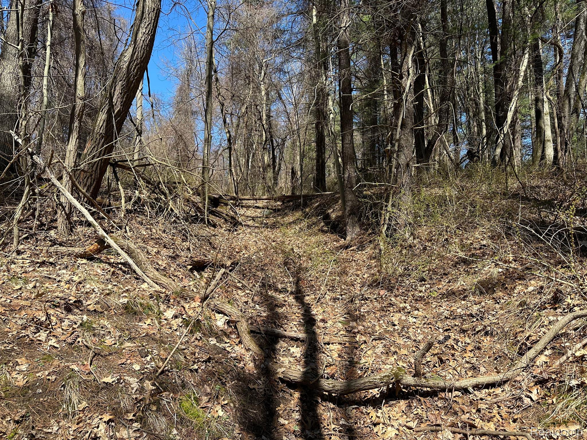 11.01 Acres Vacant Land Knights Bridge Rd Property Photo 52