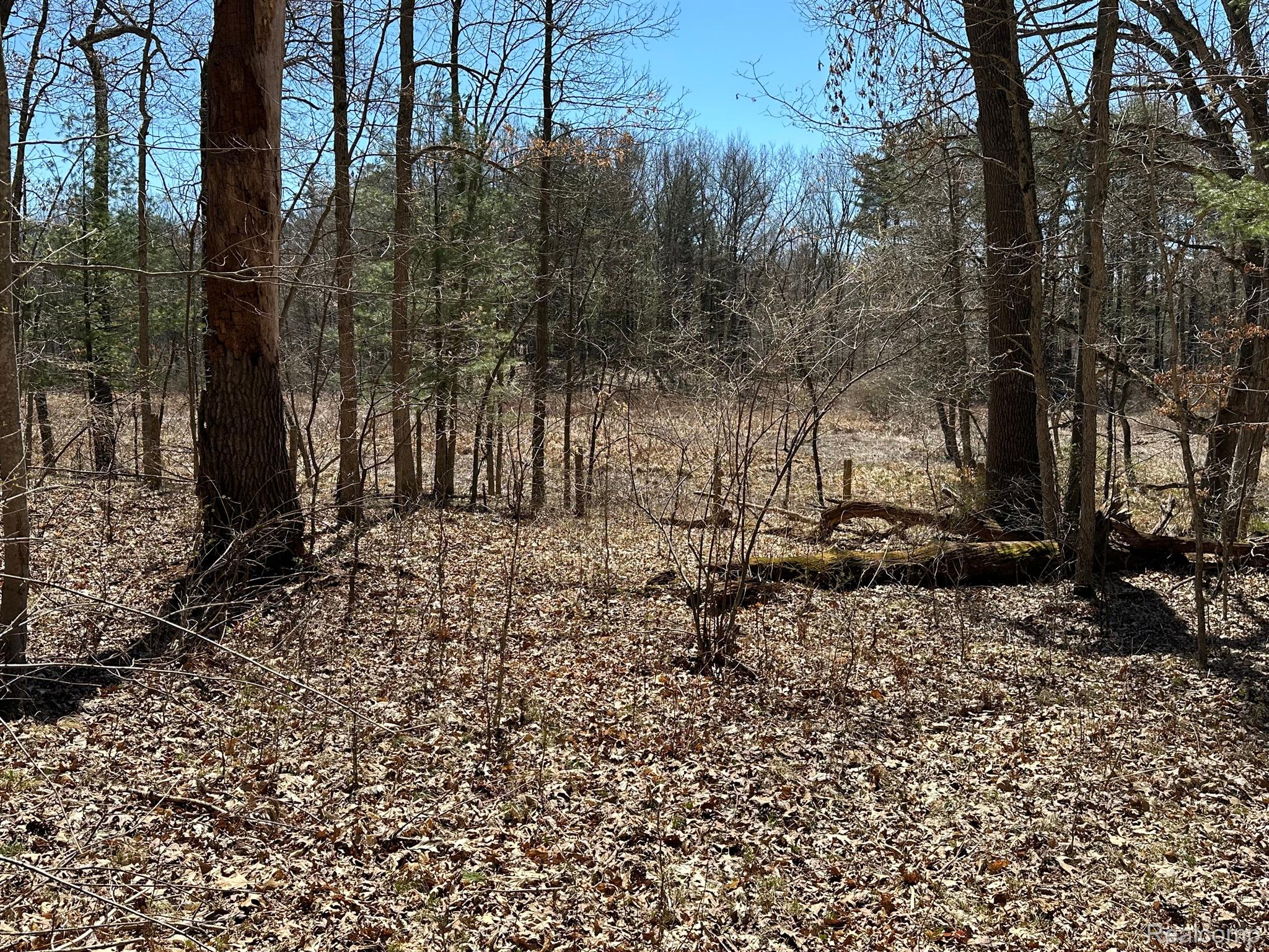 11.01 Acres Vacant Land Knights Bridge Rd Property Photo 53
