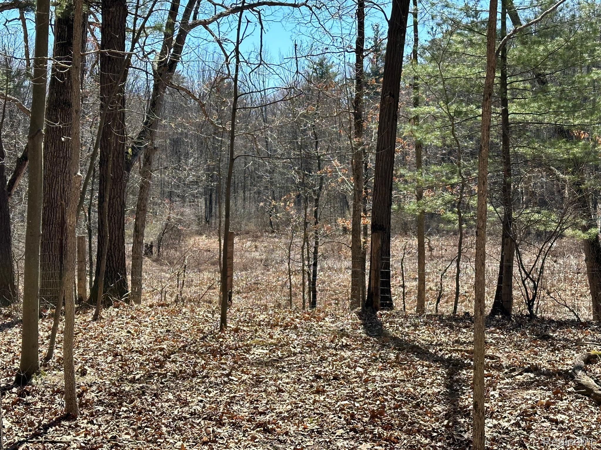 11.01 Acres Vacant Land Knights Bridge Rd Property Photo 54