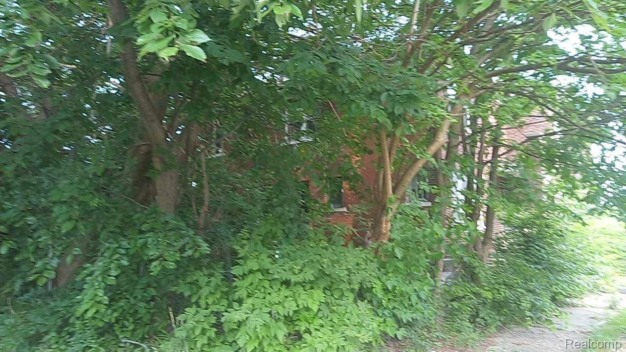 4288 Webb St Property Photo 12