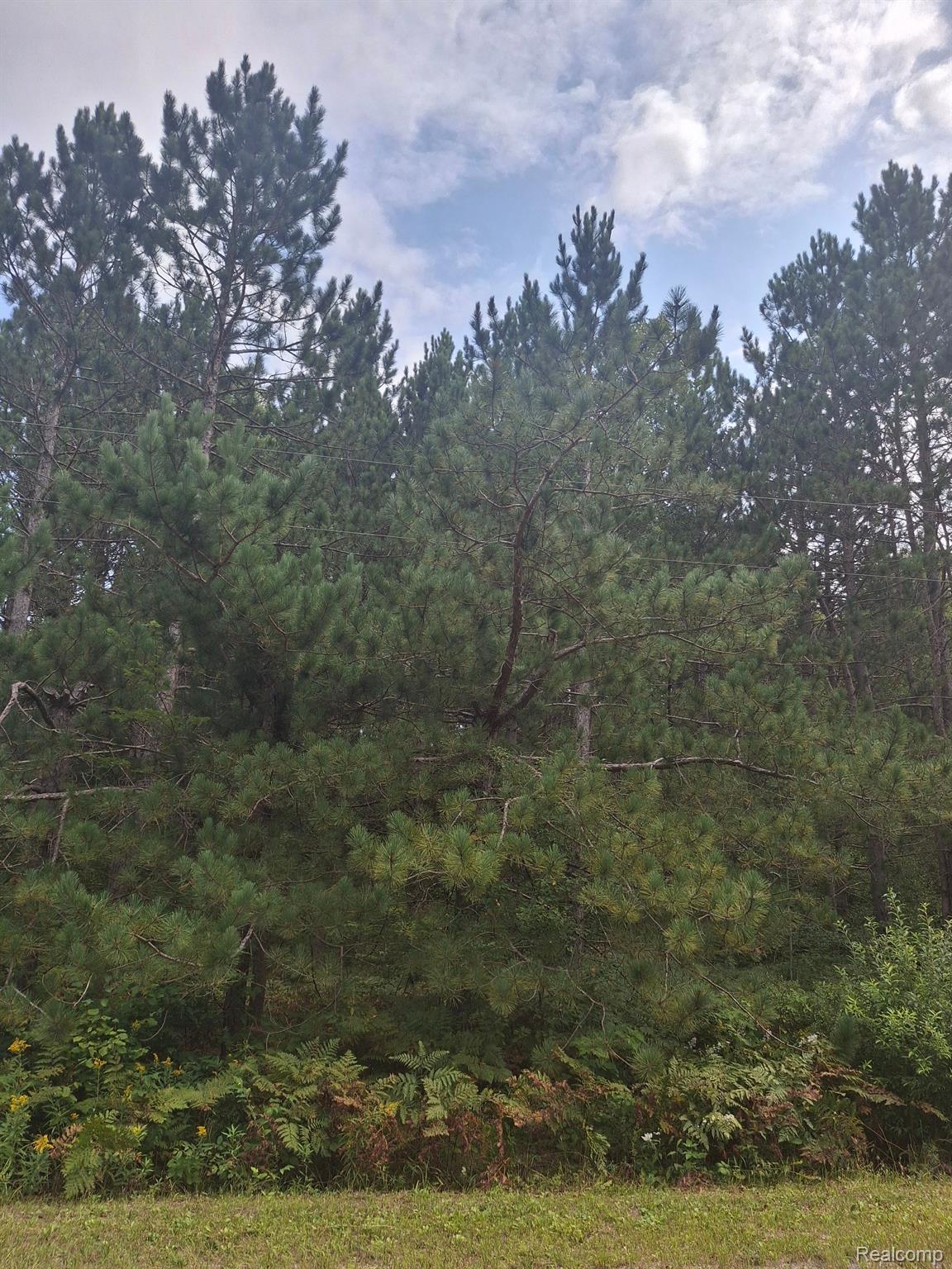 Land 99 Breezewood Dr Property Photo 8