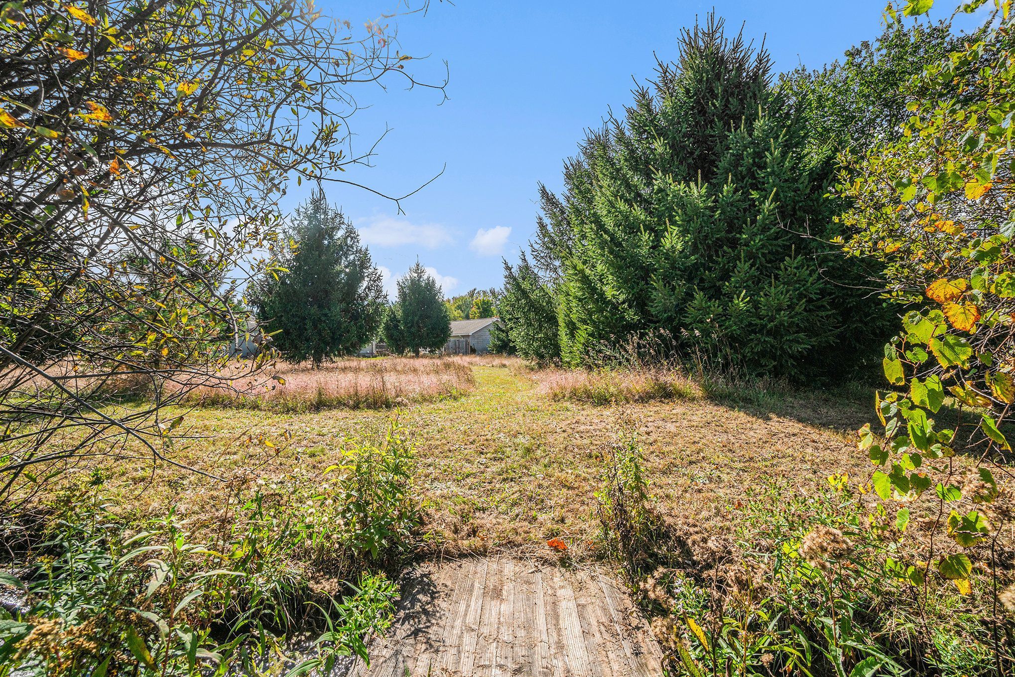 1277 Morrison Rd Property Photo 25