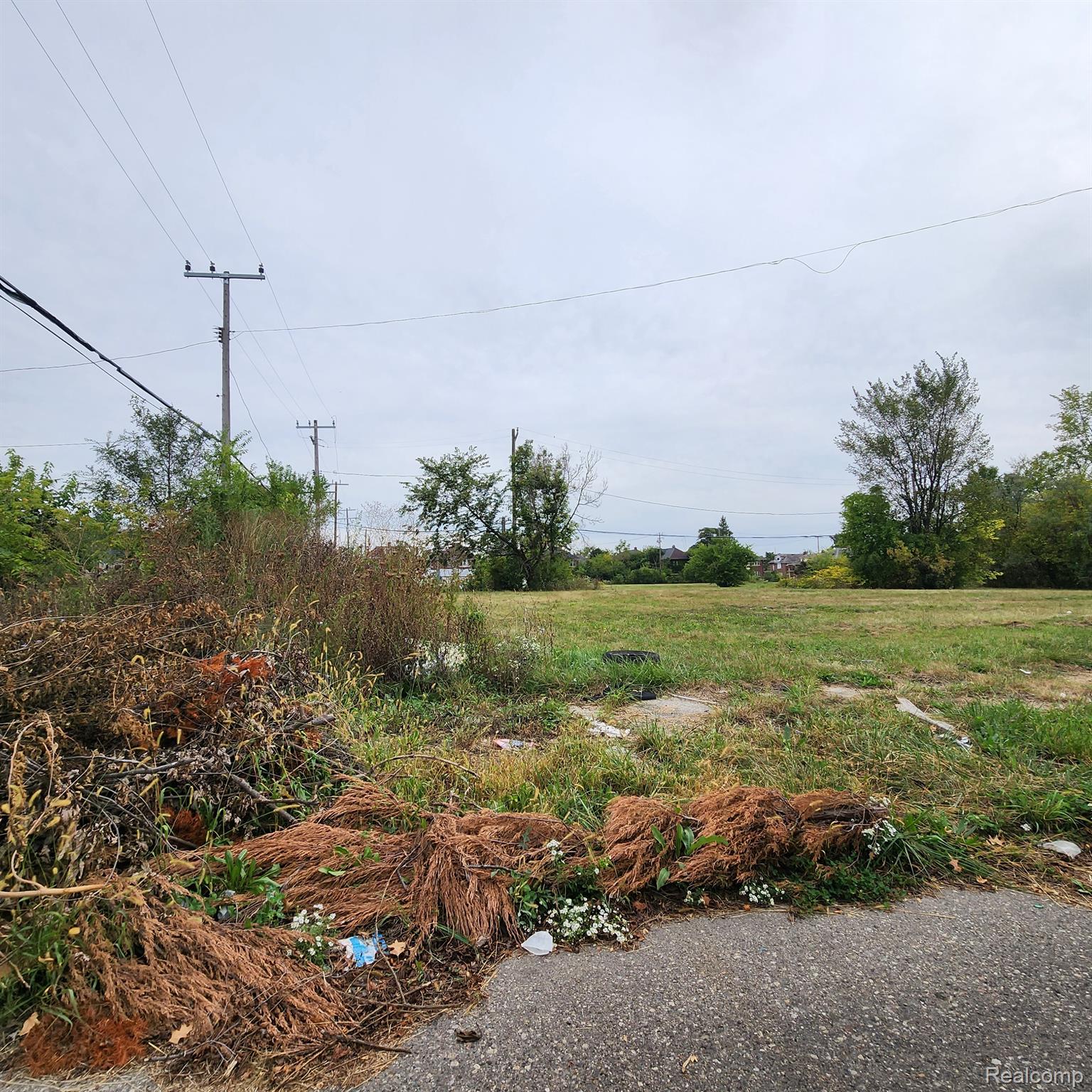 3751 Longfellow St Property Photo 5