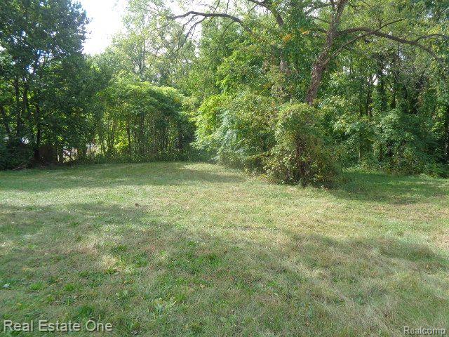 17555 Trinity St Property Photo 3