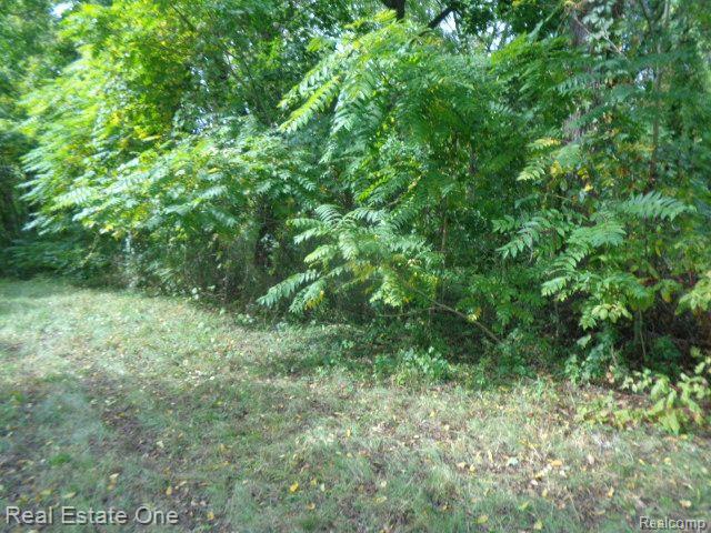 17555 Trinity St Property Photo 5