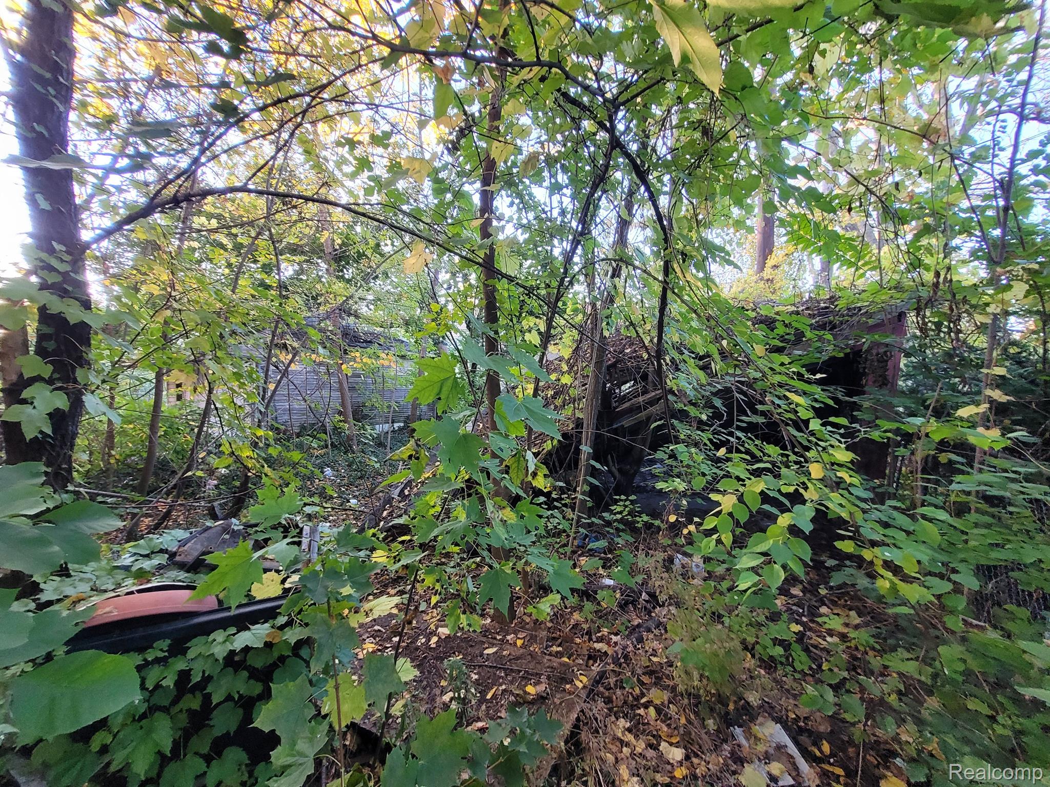4824 Cortland St Property Photo 4