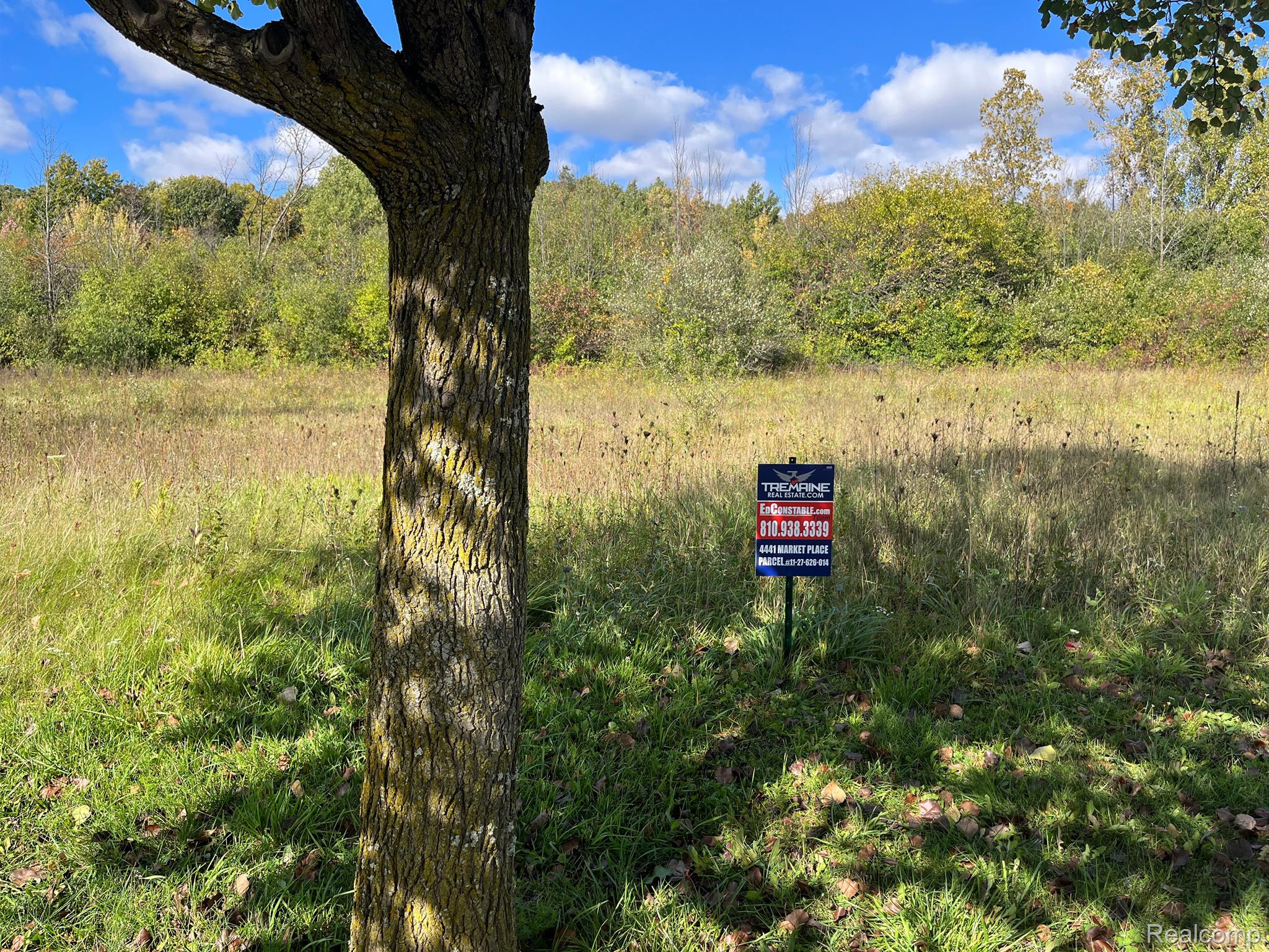 4441 Market Property Photo 1