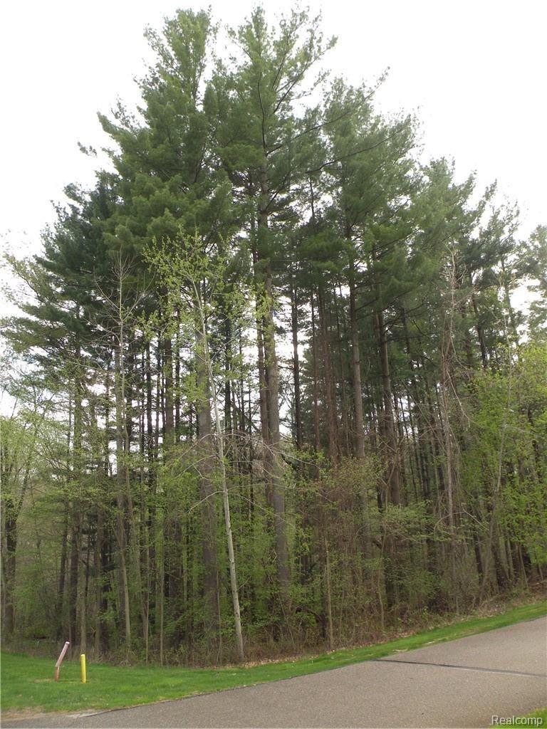 Lot 37 Alta Vista Dr Property Photo 32