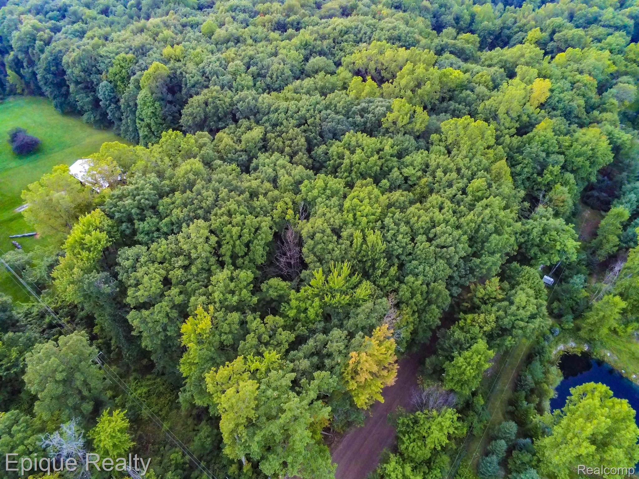 00tbd Hagerman Rd Property Photo 6