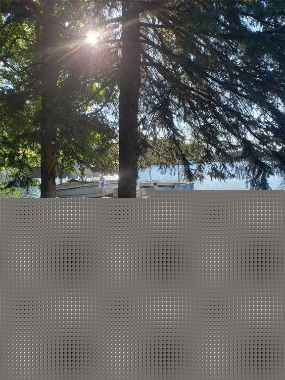 10086 King Rd Property Photo 14