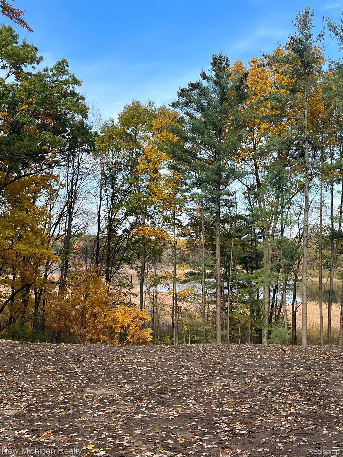 11461 White Lake Rd Property Photo 24